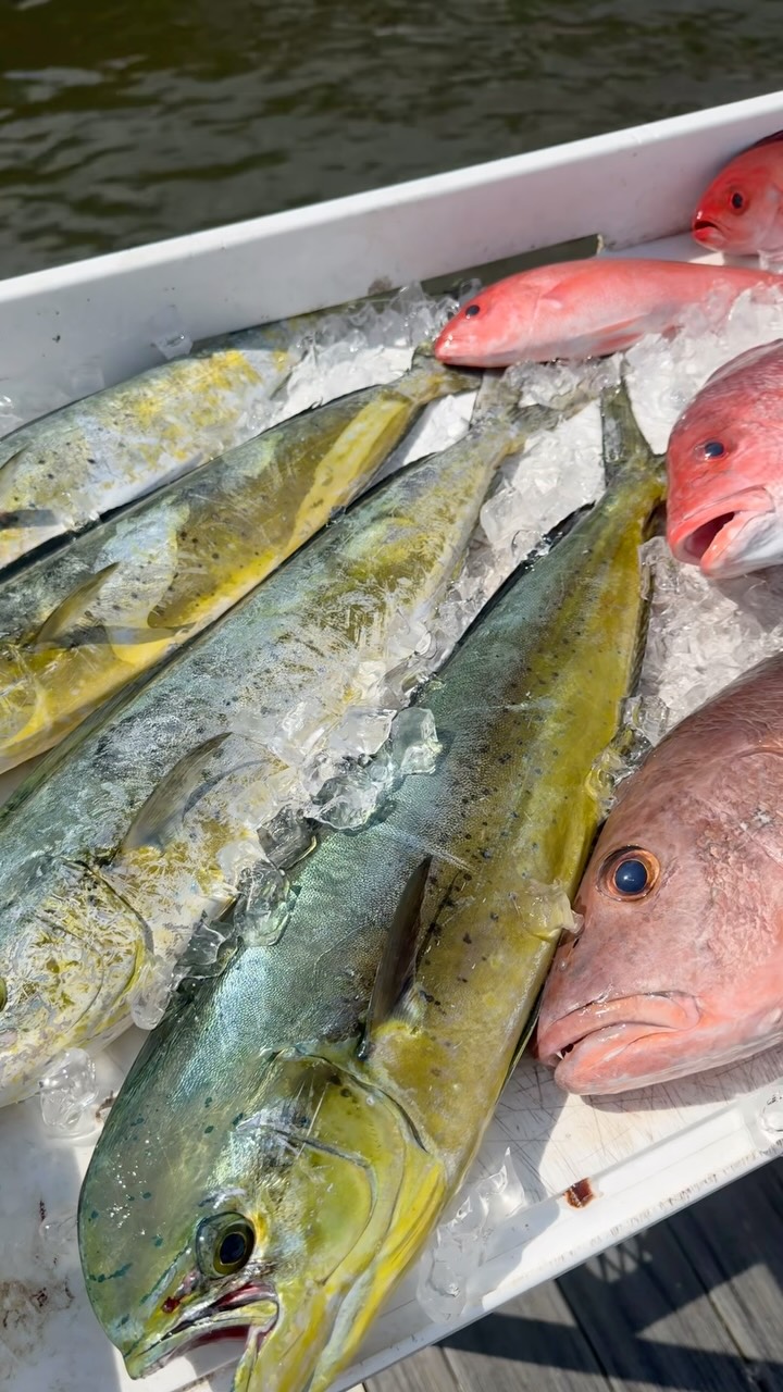 The fall colors sure look different down here.
#30a #fishing #fall #nature #fish
