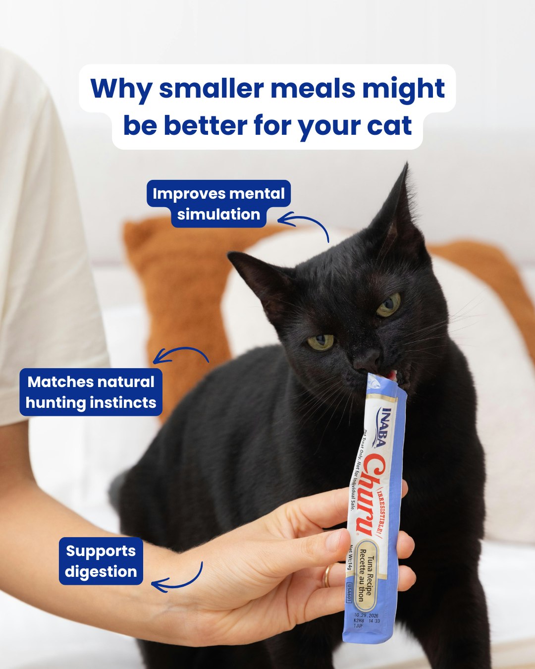 Smaller meals, more often = happier mealtimes đŠľ
Instead of leaving one big meal sitting out all day, try splitting your catâs daily food into smaller portions throughout the day. Why? Because cats are natural grazers!
By splitting their food into smaller servings, you can easily keep track of portions, give your cat more opportunities to enjoy their food throughout the day, and keep mealtimes fresh.
#Inaba #CatNutrition #Churu