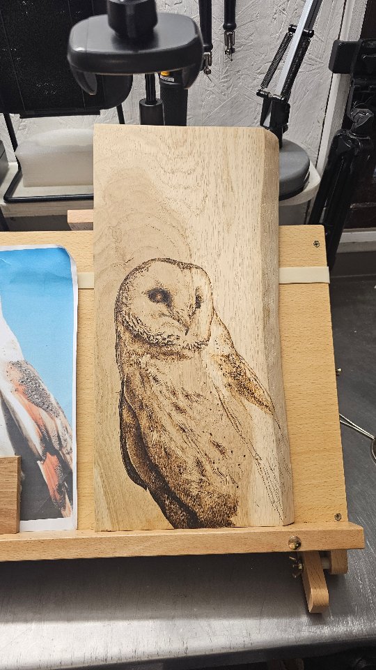 Part 2
🌱 Wow, this beautiful Barn Owl bird has taken me a good few hours but definitely worth all the pyrography effort recreating the intricacy of the feathers, markings and the eyes.
🌱 I think it has paid off, I feel like I'm coming to to the end. Not long now before my little signature scribble is added and I can show you the finished piece. Hope you like it.