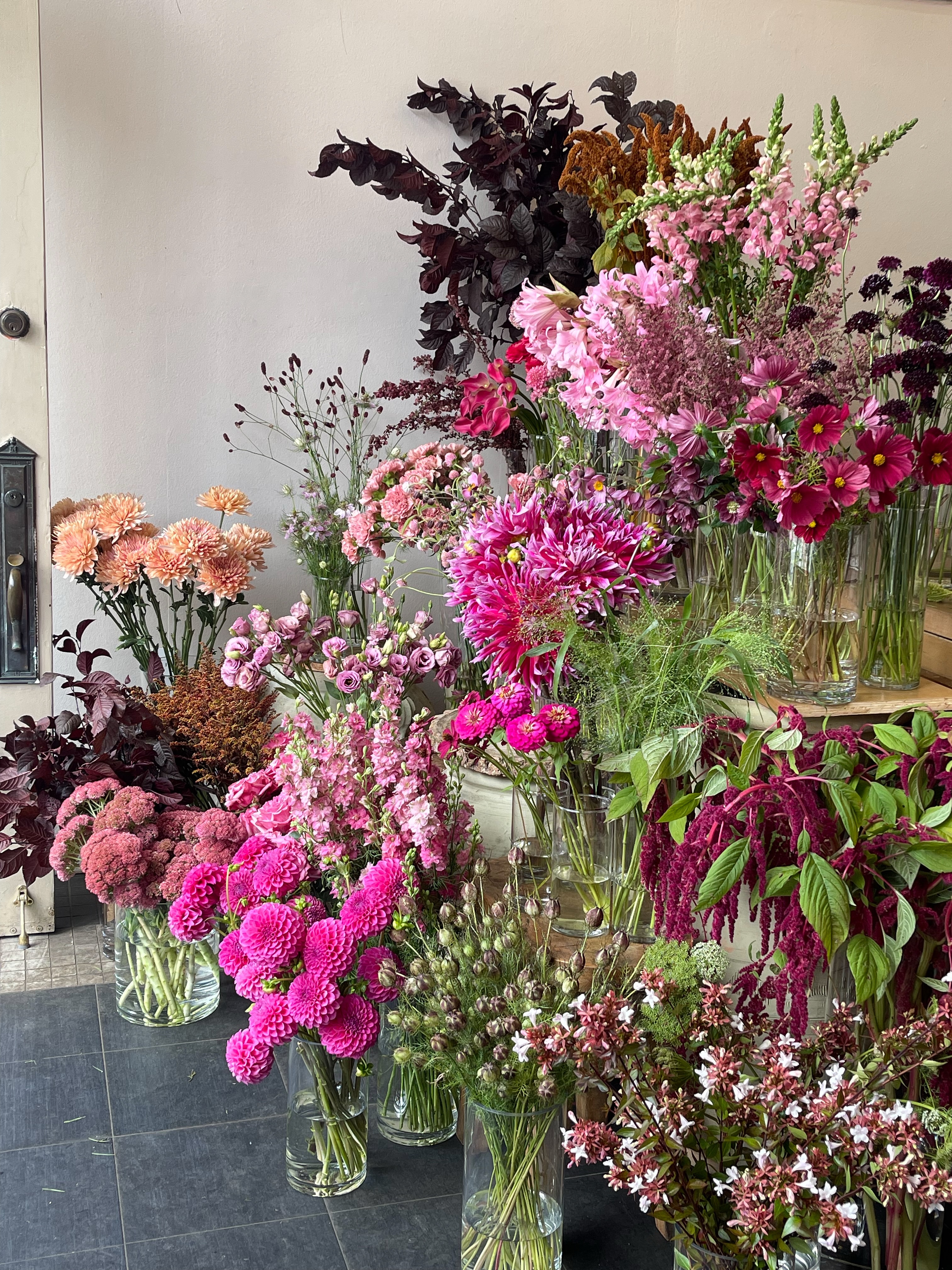 We promised some fuchsia and it has been well received. Lots of beautiful blooms picked up today for your weekend orders.
Look forward to some lovely peachy hues next week!