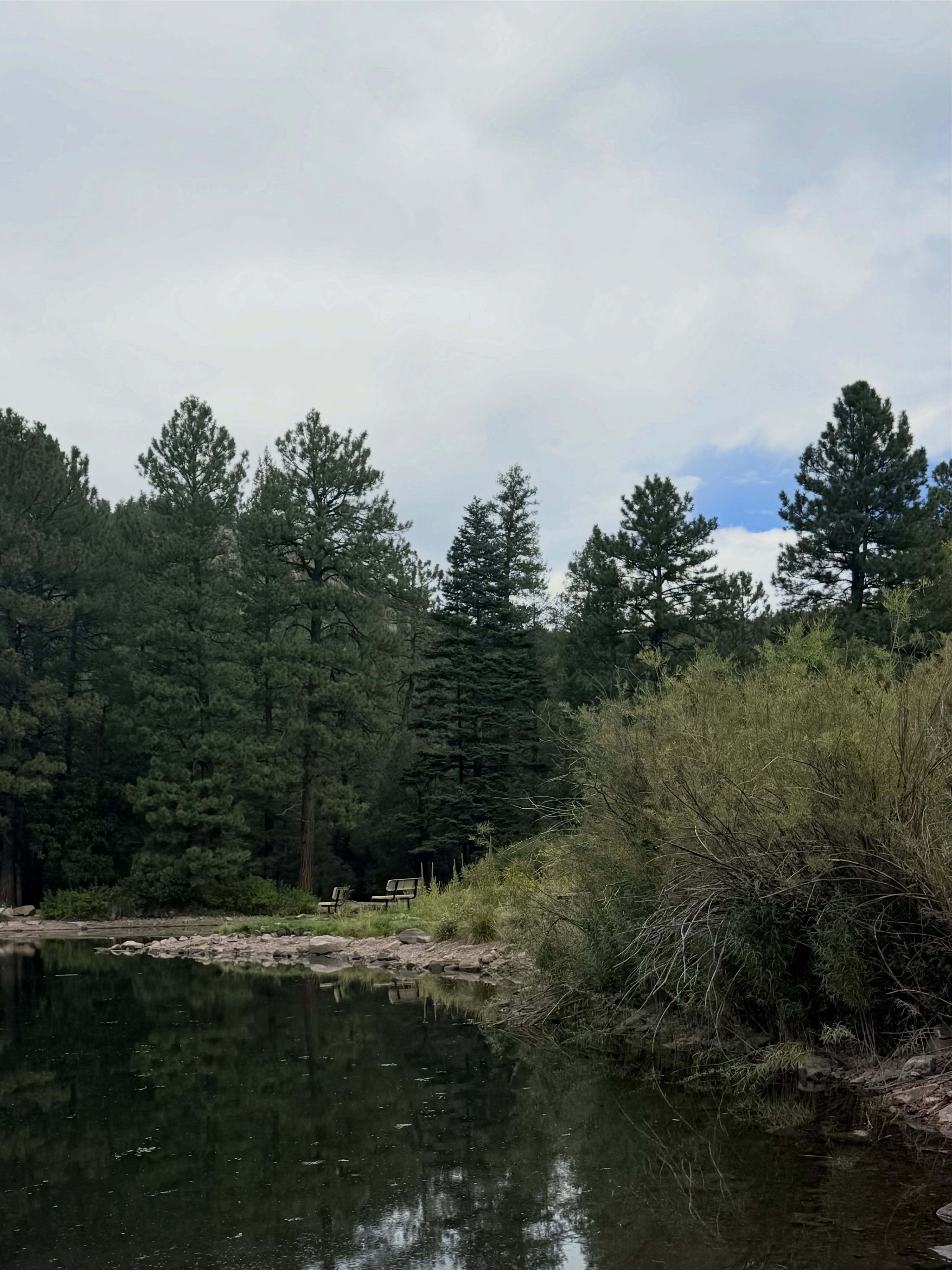 A quiet corner of Cimarron Canyon 🌲🏔️
Take the trail around Gravel Pit Lakes and enjoy mountain views, wildflowers, wildlife, and a little late-summer peace by the water!
📍Gravel Pits Lakes • Cimarron Canyon State Park
#TheWildDivide #ColfaxCounty #VisitColfaxCounty #NewMexico #NewMexicoTrue