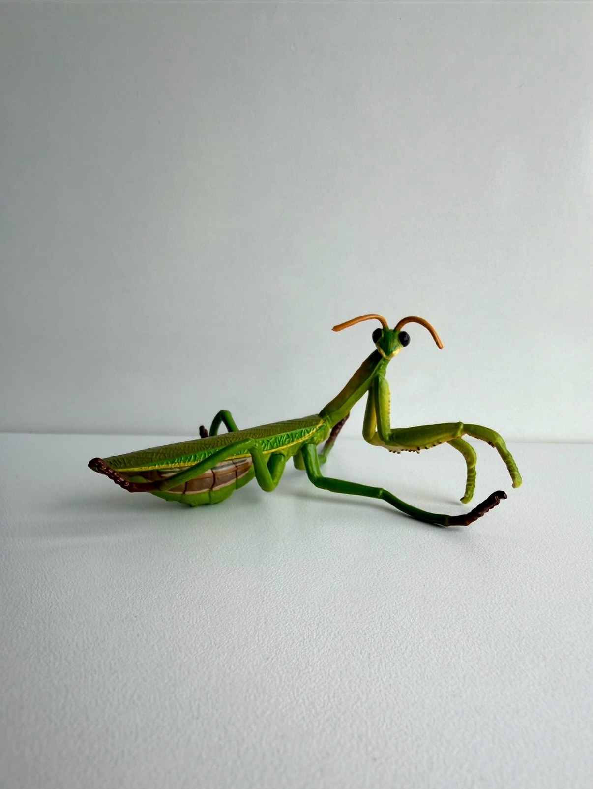 Богомол китайський Toymany. Ціна 165 грн #комахи_animals_svit #wild_animals_svit #фігурки #іграшки