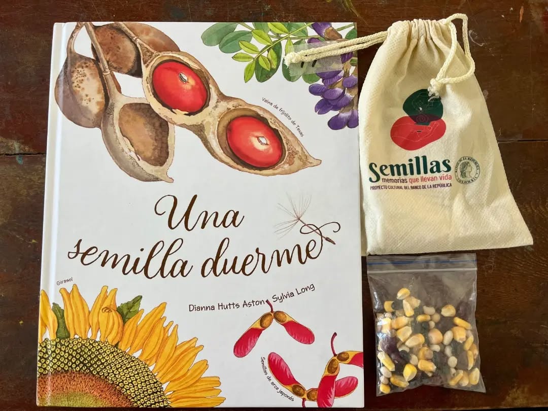 ✨ ¡Sembrando lecturas y cosechando historias en Tierra Adentro! 🌱📖
Con mucha alegría realizamos el taller “Sembrando Lecturas, Cosechando Memorias” en la sede Tierra Adentro de la Institución Educativa El Silencio, en el marco del proyecto cultural del Banco de la República Semillas: memorias que llevan vida 🏛️✨.
En un enriquecedor espacio de aula multigrado, los niños y niñas de los grados 3°, 4° y 5°, junto con el valioso acompañamiento de la docente Ely Silvana Benavidez Perez, vivieron una jornada llena de exploración, lectura y creación 🌾🎨.
A través de la Exposición y la Maleta Viajera, los estudiantes conectaron con nuestras raíces y descubrieron que las semillas no solo dan vida, ¡sino que también custodian los saberes, saberes e historias de nuestro territorio! 🌽🗣️💚
Al final, uniendo sus dibujos y palabras, crearon un hermoso mural colectivo para recordar siempre el valor de nuestro patrimonio biocultural 🖼️🌿.
¡Gracias a la sede Tierra Adentro por abrirnos sus puertas para seguir sembrando identidad y amor por la lectura! 📖✨
Banrepcultural
#BancoDeLaRepública #SemillasMemoriasQueLlevanVida #IEElSilencio #SedeTierraAdentro #AulaMultigrado LecturaYCultura PatrimonioBiocultural