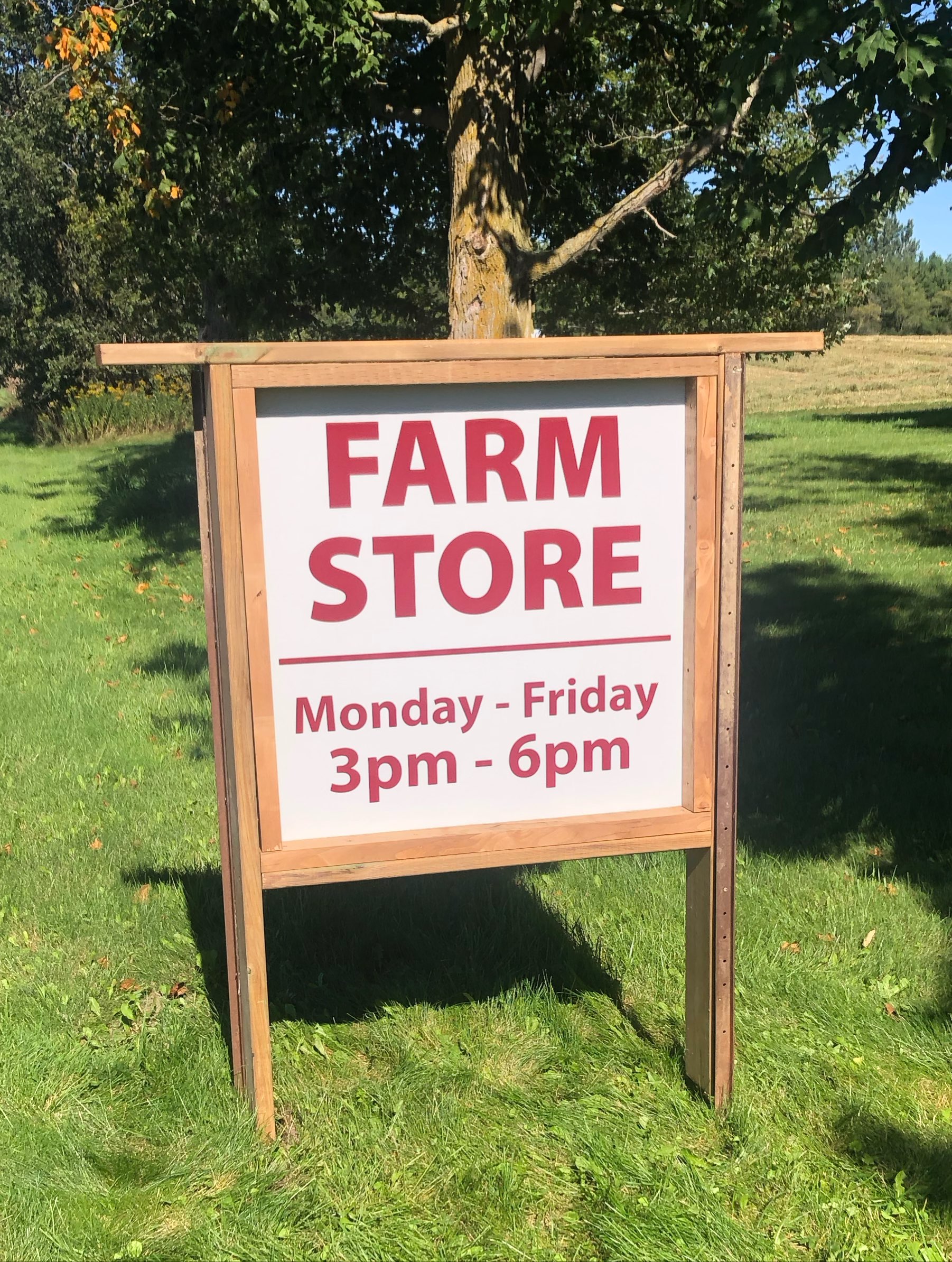 New sign went up today! Selling lots of salad, arugula, spinach, tomatoes, potatoes, eggplant, cucumber, eggs and more! But still no offers on the puffball mushrooms. Strange… as we’re giving them away for free.