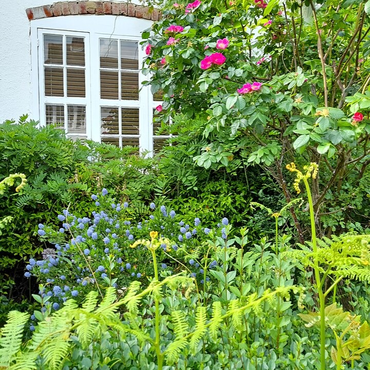 Join RHS at the Thackray Museum of Medicine on 6 October for their Community Gardening Meet-up, Bringing Nature Home.
Bringing together community gardeners from across the region to share skills and knowledge and make new connections. This event will focus on the theme of plants as the foundation of biodiversity and will include talks from experts, networking opportunities and a marketplace showcasing community gardens and local organisations.
Each person attending from your organisation or community group should reserve a place as numbers are limited. Tickets are limited to up to 3 people per organisation and on a first-come basis. Bookings close on 25 September.
Date and time: Tuesday 6 October 2026, 10am–3pm
Location: Moynihan/James Allen rooms, Thackray Museum of Medicine, 141 Beckett Street, Harehills, Leeds, LS9 7LN (next to St James' Hospital)
Time doors open: 9.30am
Full details on the CAL website events section including a call for stallholders https://www.climateactionleeds.org.uk/our-events
#ClimateAction #ClimateActionLeeds