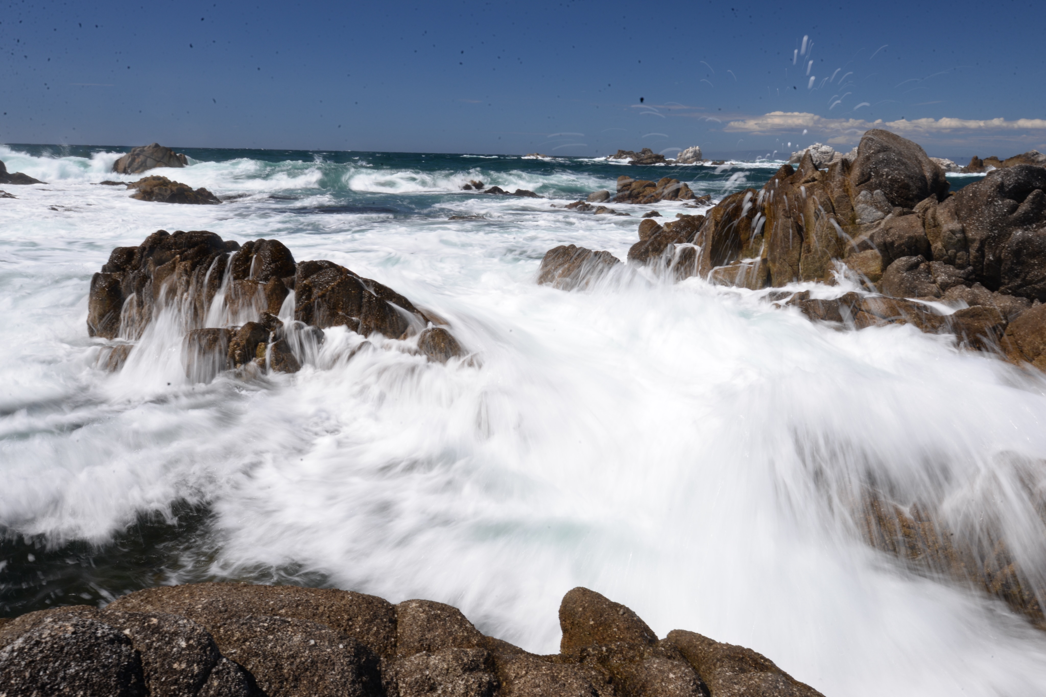 Incredible trip to present on #shark electroreception at the Asilomar #Bioelectronics #Symposium. Interesting talks, posters, and new colleagues. Open afternoons allowed time to explore the #Monterey peninsula. Got to squeeze in a few #scuba dives at Monastery Beach and @pointlobossnr. The rocky shoreline was very scenic and the kelp forest was loaded with life. Such a beautiful place, looking forward to visiting again. @visitasilomar