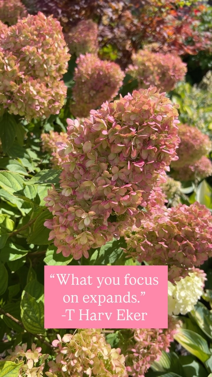 If you focus on….
gratitude you will have more to be grateful for.
abundance you will attract more of it.
Impact you will become more impactful.
In the same token if you focus on…
what’s missing you will attract more distance from your dreams.
scarcity there will be more lack.
not enough followers, or clients you will continue to not have as many as you hope for.
So check-in with yourself consistently and ask yourself what am I focused on most right now❓
Drop a ❤️ if you needed this reminder and follow @cassandrarosaa for more inspirational posts!