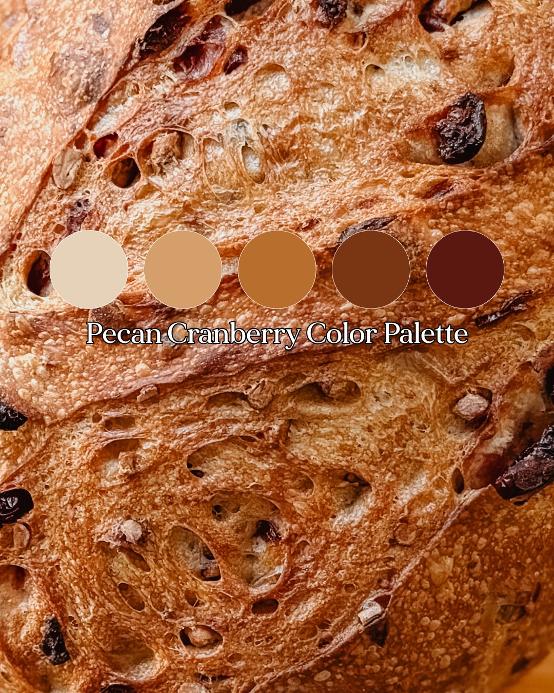 If bread had a color palette…
Actually, it does 🤎