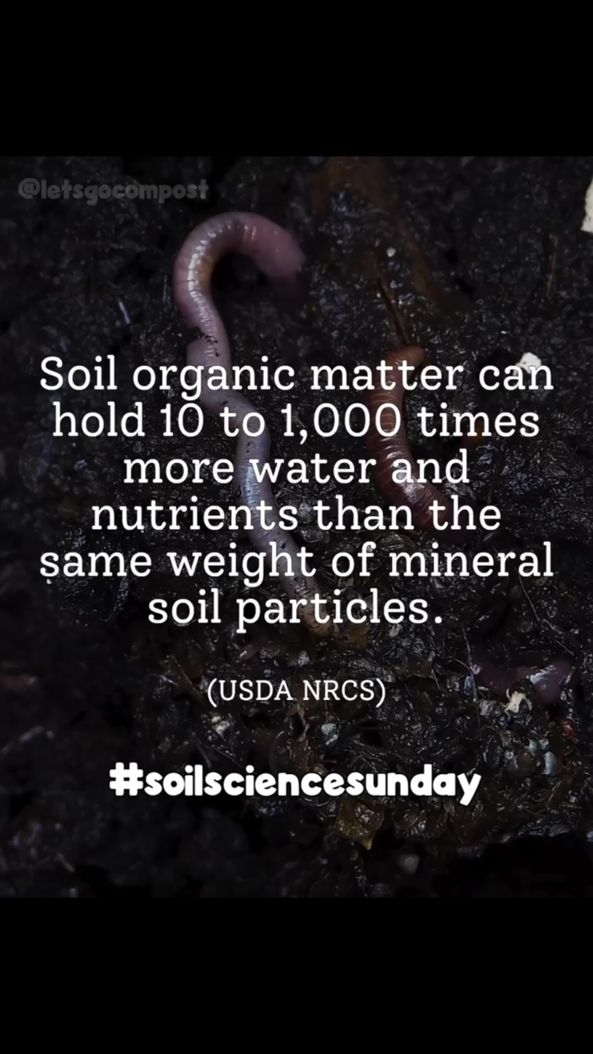 Compost helps soil hold more water! The USDA Natural Resources Conservation Service reports that soil organic matter can hold 10 to 1,000 times more water and nutrients than the same amount of soil minerals.
Every native soil naturally contains a different amount of organic matter. Sandy soils generally benefit from greater water and nutrient retention, while compacted clay soils can benefit from improved structure and drainage. Compost application should always match the soil and the plants growing in it, especially native plants adapted to naturally low-organic-matter soils.
However, many urban, suburban and agricultural soils no longer function as they once did. Construction, grading, erosion, soil removal, repeated tillage and leaving soil bare can reduce organic matter or disrupt the natural soil structure.
Applying compost can help restore what has been lost. It creates a sponge-like soil structure that absorbs water, stores nutrients and keeps both available to plant roots. Increasing soil organic matter just 1% could help an acre of topsoil retain roughly 20,000 additional gallons of water, depending on soil type and depth!
That means less runoff, less frequent watering and stronger plants during heat and drought. Your food scraps can become part of the solution instead of feeding our landfills!
Source: https://www.nrcs.usda.gov/conservation-basics/soil/soil-health/role-of-organic-matter
#Compost #SoilHealth #SoilScience #FallGardening