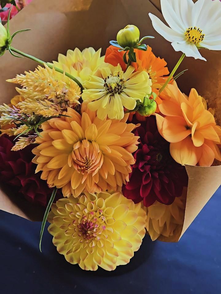 Flowers are still blooming at @ferns.florals 💐🧡
Fresh bouquets at the Farmstand today!
#fernsflorals #kootenaycornergardens #Flowers #septemberblooms #Farmstand