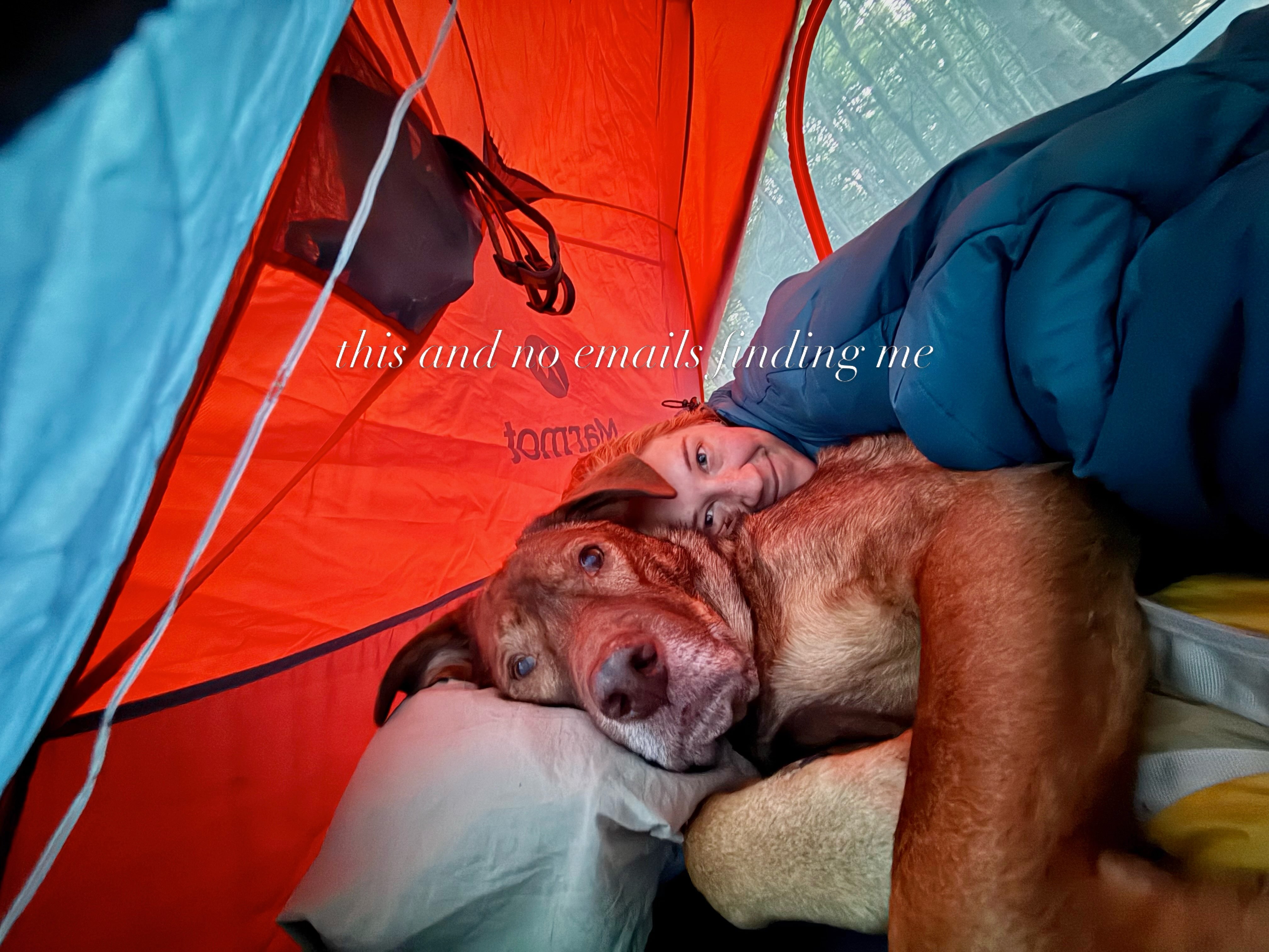 “I hope this email finds you well…”
Can’t find me from a tent 😉⛺️