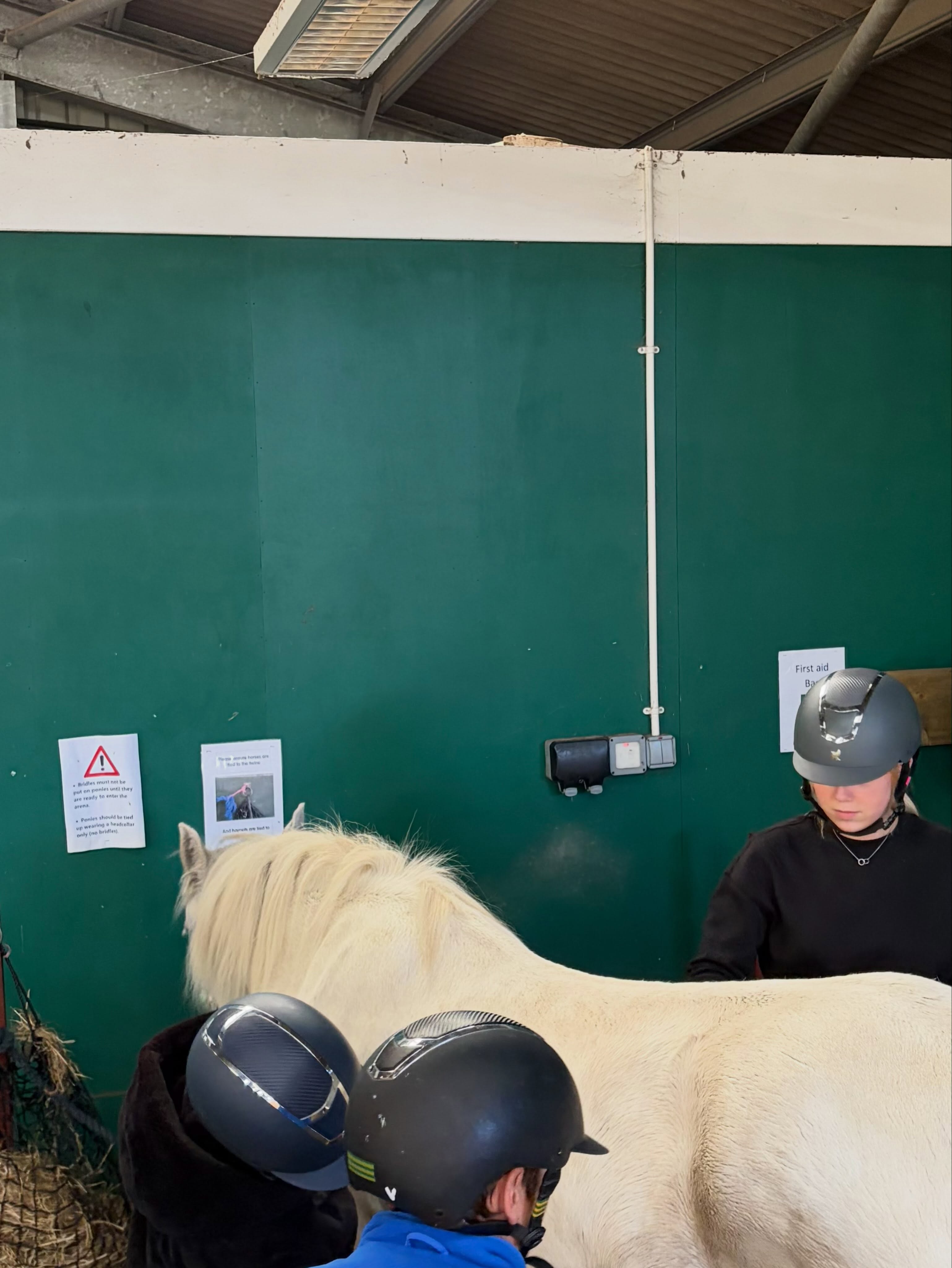 Week 4 of our young people taking part in the @muirfieldridingtherapy Horse Care Course. Going over everything they’ve learned since the beginning. Two weeks to go!!