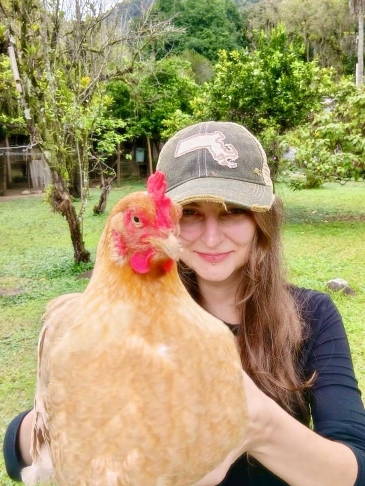 Does this Rooster make my 🧢look small? 🐔our lovely model in Buenos Aires 🇦🇷 brought her hometown 🧢 back with her 🐓 The Mass state caps by The Goat - recycled metal chicken sculpture by Culturas, suede fringe shoulder bag by BC Handbags 👜and natural straw cowboy hat from Peter Grimm hats- all outdoor vibes in this beautiful late summer sunshine!☀️ 🛍️🌤️ all kinds of new accessories and clothing has landed this week 📦 @pop_gallery 🛍️ come see! #popgallerygloucester #dontbechicken #downtowngloucester #customerappreciation❤️❤️❤️❤️ #chickensofinstagram