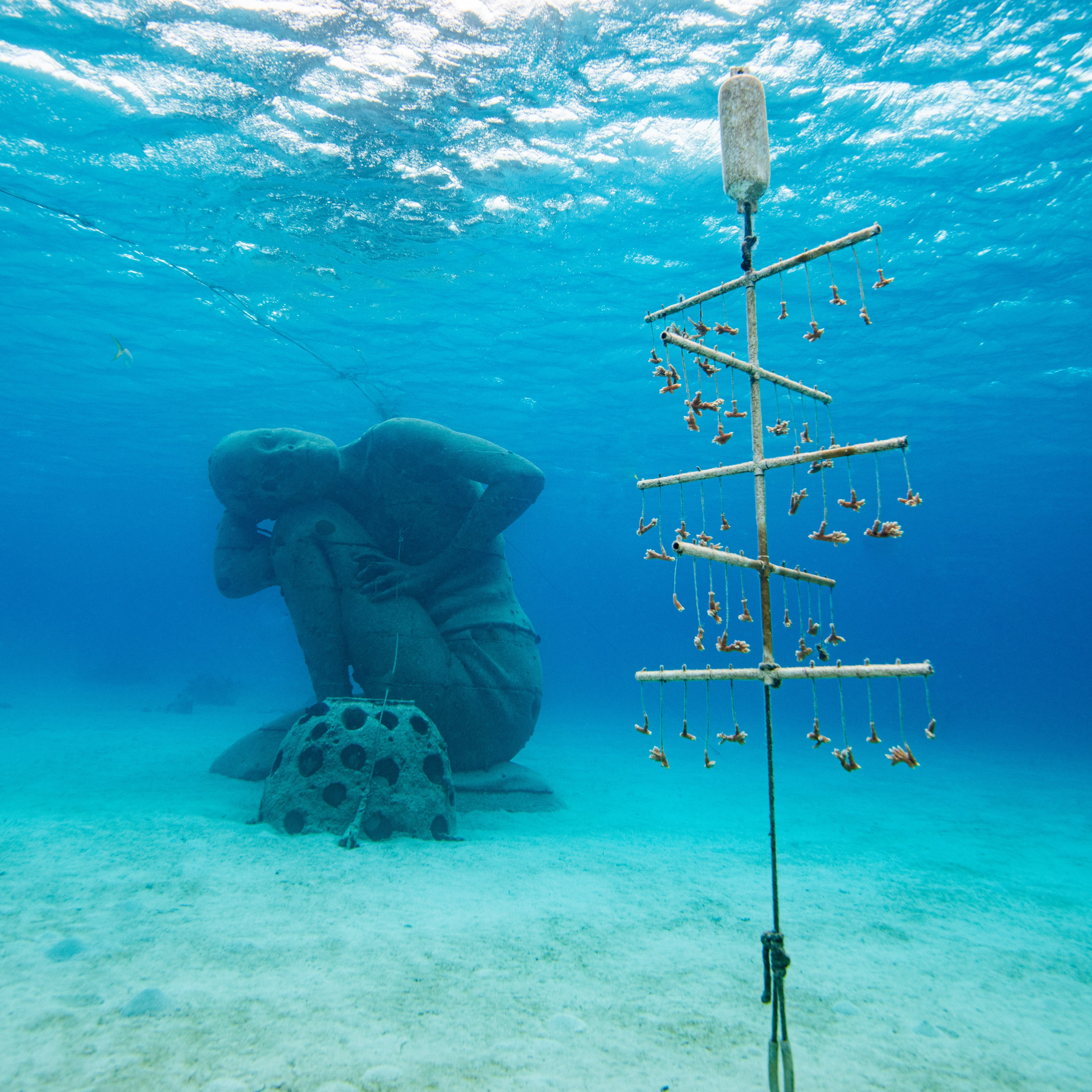 🌊 OCTOBER DIVE!🇺🇸🤿
We’re looking for 16 veterans to join us on October 18th in Tavernier, Florida for another SubSurface Veterans Dive!
This month, we’re teaming up with I.CARE and Conch Republic Divers for a day focused on learning about and helping protect our coral reefs.
🌱 Morning: Coral education and a hands-on class learning about planting and caring for corals.
🤿 Afternoon: We’ll take what we learned into the water for a dive and get some time on the reef.
It’s going to be a great day of learning, diving, and hanging out with fellow veterans.
16 spots. First come, first served. Veterans dive for free. Email jeff@subsurfaceveterans.com to be added. @icareaboutcoral @conchrepublicdivers @jsamuel215 #veteran #scuba #therapy #conservation #protectourreefs