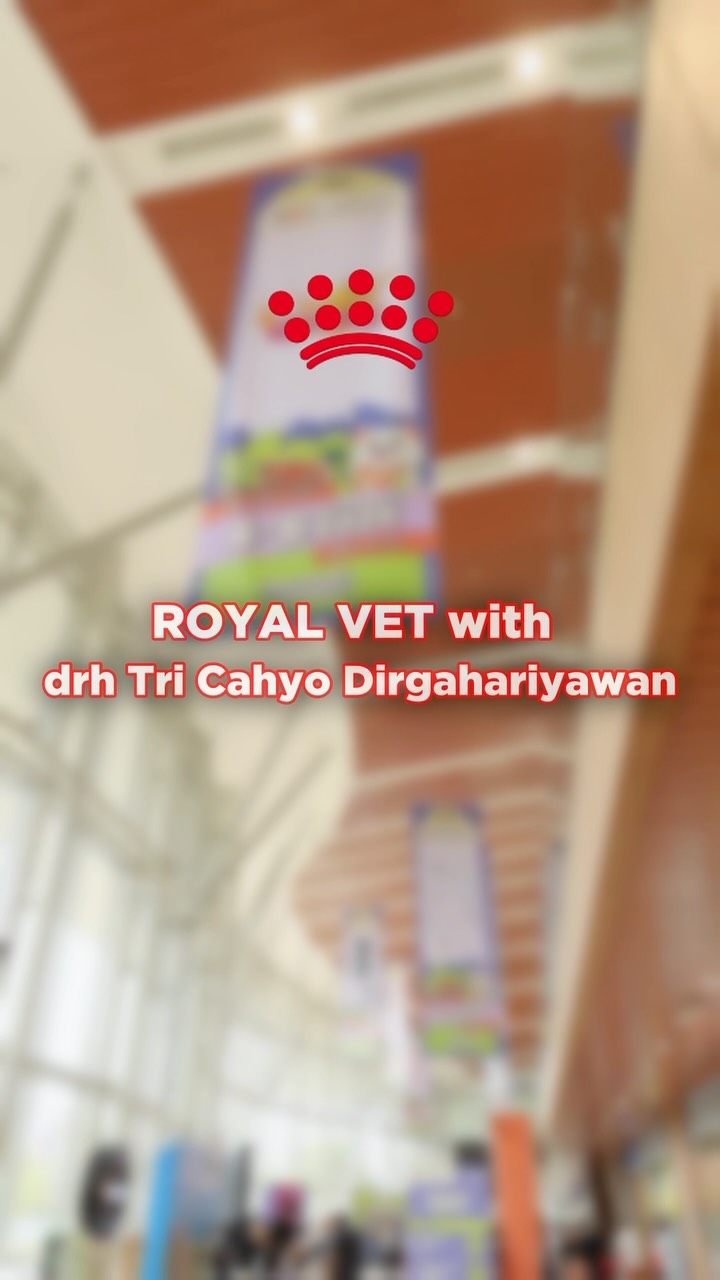 Sudah 1 minggu berlalu sejak drh. Cahyo hadir dan menemani dalam sesi Royal Vet di booth Royal Canin, IIPE, Sabtu, 5 September 2026!
Mulai dari konsultasi hingga edukasi seputar kesehatan anabul, setiap momen menjadi kesempatan untuk membantu pawrents memahami kebutuhan kesehatan dan perawatan anabul dengan lebih baik.
Terima kasih untuk seluruh pawrents yang sudah datang, berbagi cerita, dan mempercayakan kesehatan anabul bersama Modernvet.
Sampai bertemu di kesempatan berikutnya! π
β
Itβs already been a week since drh. Cahyo joined and connected with Pawrents during the Royal Vet session at the Royal Canin booth at IIPE on Saturday, September 5, 2026!
From consultations to educational discussions about pet health, every interaction was an opportunity to help Pawrents better understand their petsβ healthcare needs and overall well-being.
Thank you to all the Pawrents who stopped by, shared their stories, and trusted Modernvet with the care of their beloved companions.
We look forward to seeing you again at the next event! π