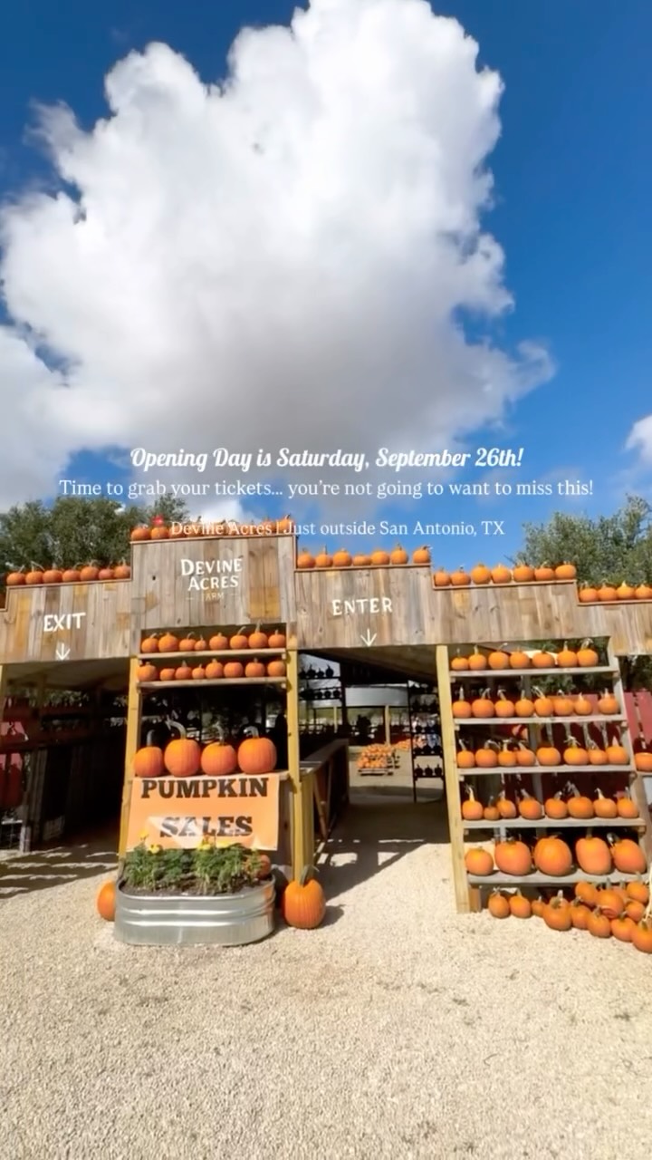 Yβall, Opening Day is Next Saturday.... and We Are SOOOOO Excited!!!!! π§‘π€©π
Make sure to snatch your tickets before they sell out!!οΈβ‘οΈWe canβt wait to welcome you back to the farm!π€
ποΈ : devineacresfarm.com