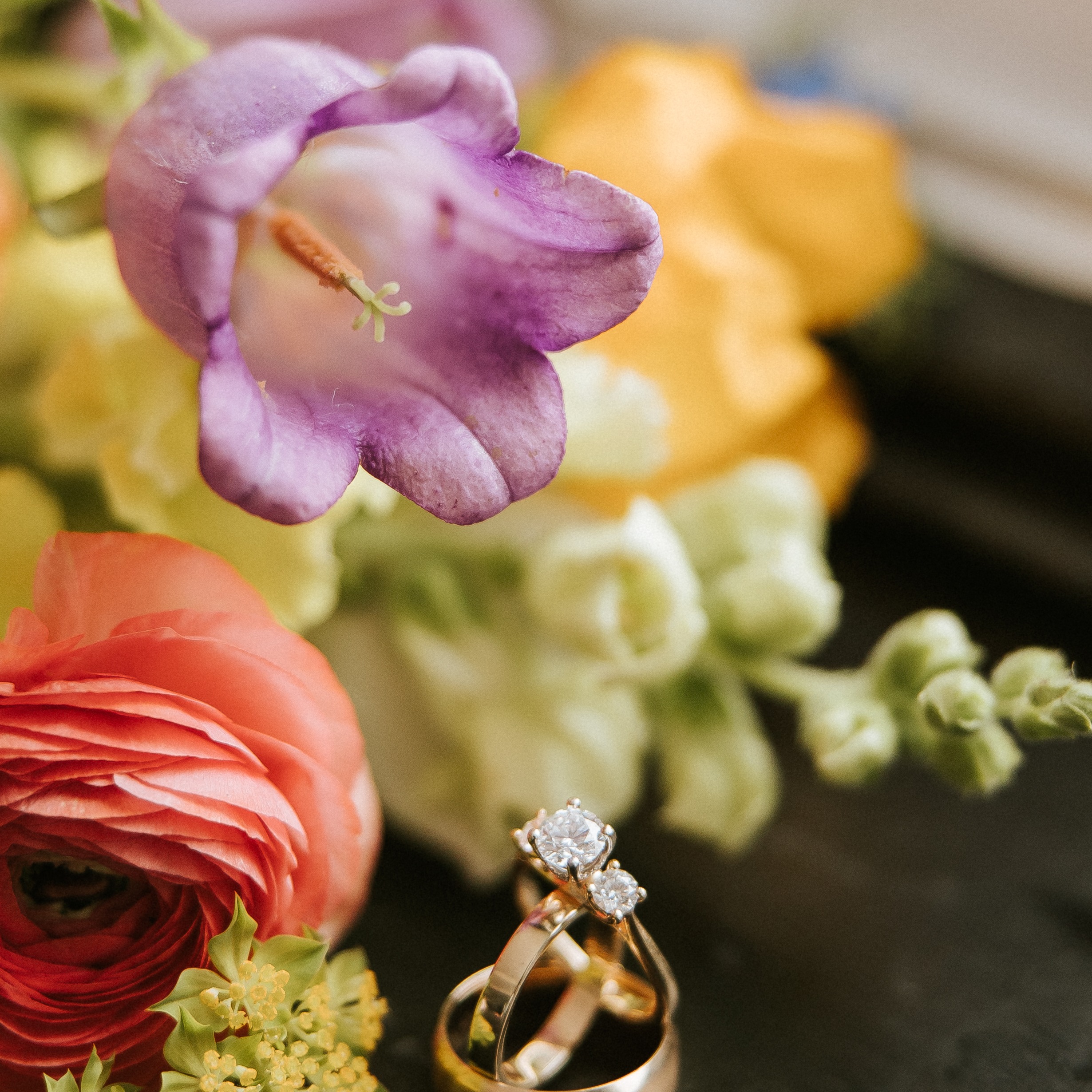 The Details
Wedding Planner:
@aray_ofevents - Olivia, Kendra, Sam
Venue/Catering/Bar:
@thefranklinofsoulard
Bakery:
@la_bonne_bouchee_
Officiant:
@jossmangarcia
Photographer:
@ali_brasselphotography
Florist:
@flowersandweeds
DJ:
@millenniumstl - Will
Hair/MUA:
@studiobride
Transportation:
STL Road Pony
Accommodations:
Fairfield Inn and Suites STL Downtown
Ceremony Musicians:
@goldstandardmusicians