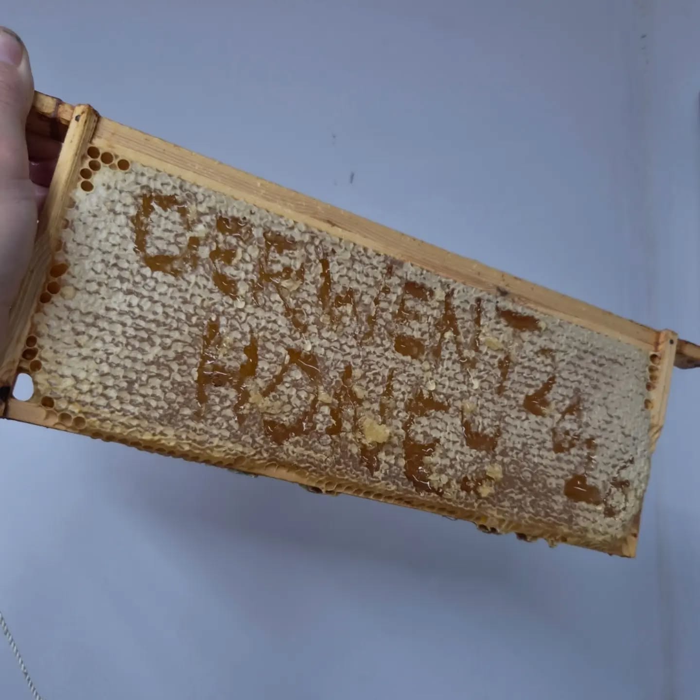 Cant even read it but it says 'Derwent Honey 2026' after our summer harvest and extraction is over for another year.
Now its time to make sure the bees are in tip top shape ready for winter.
Ps. Our nucs are looking great for next year. Available to pre order now!
#derwenthoney #yorkshirebees #bees #honey #smallbusiness