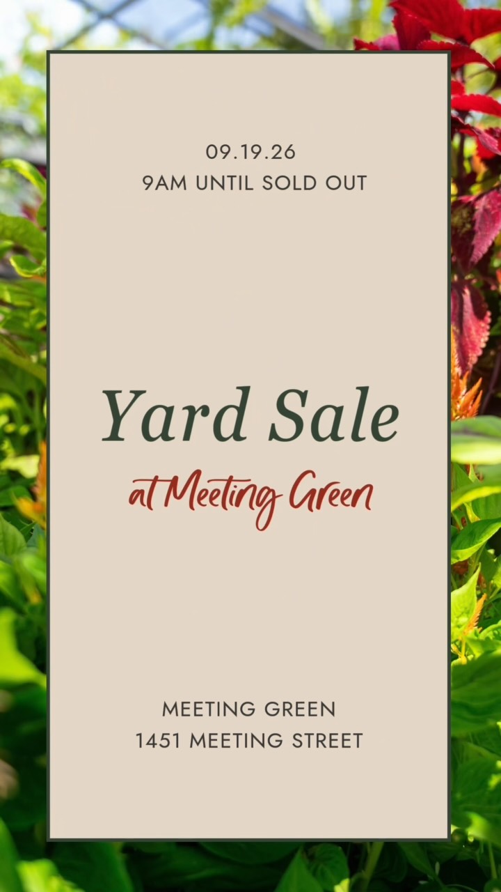 YARD SALE ALERT ‼️
This Saturday, September 19th, from 9am until we’re sold out! Shop trees, shrubs, perennials, annuals, houseplants, garden decor and more up to 75% off! It’s a parking lot party!💃🕺🏼 Everything will be out in the parking so drive up and grab it while it’s hot! 🔥