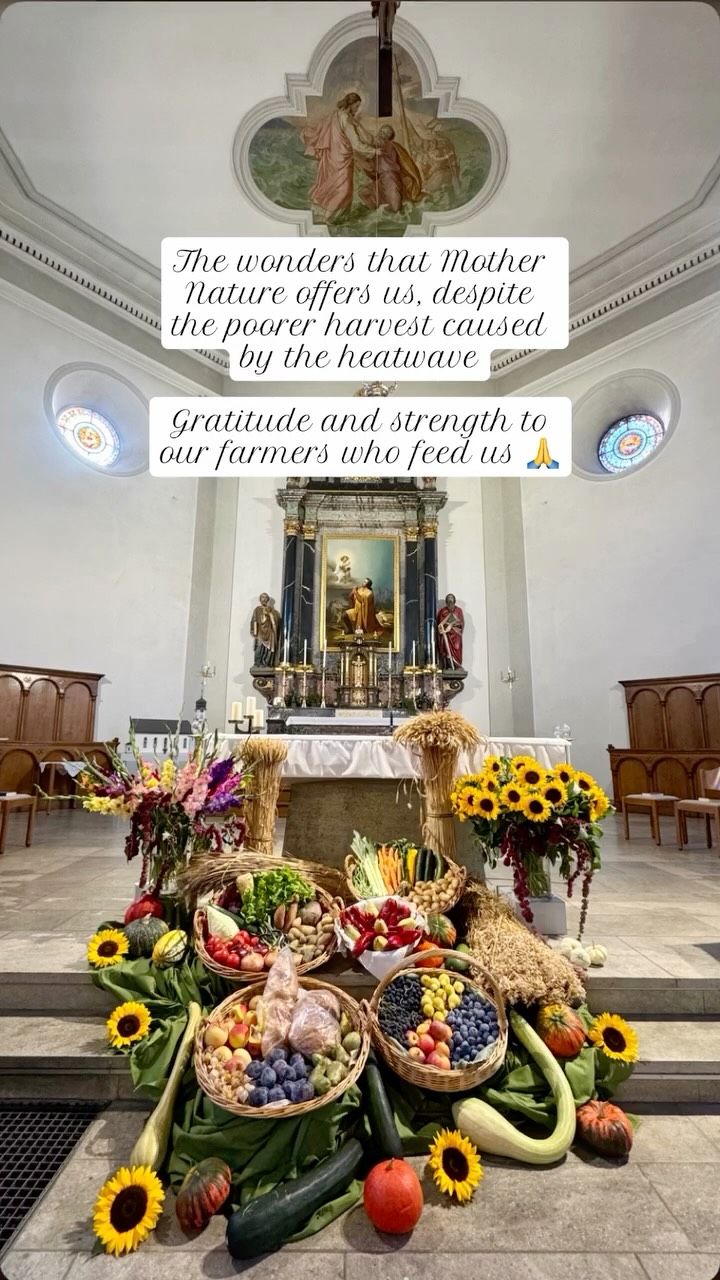 🌾
Erntedankfest, Kirche Tägerig, 12. September 2026: Die Wunder, die uns Mutter Natur schenkt – trotz der durch die Hitzewelle bedingten schlechteren Ernte
Dankbarkeit und Kraft für unsere Landwirte, die uns ernähren 🙏
Ich freue mich riesig, mit meinem Kirchenchor Tägerig gregorianische Gesänge zu singen 🥰
… Und auch dieses Juwel von Soili Perkiö ✨
#GregorianChant #ChurchChoir #Thanksgiving #ChoirConducting #MezzoSoprano