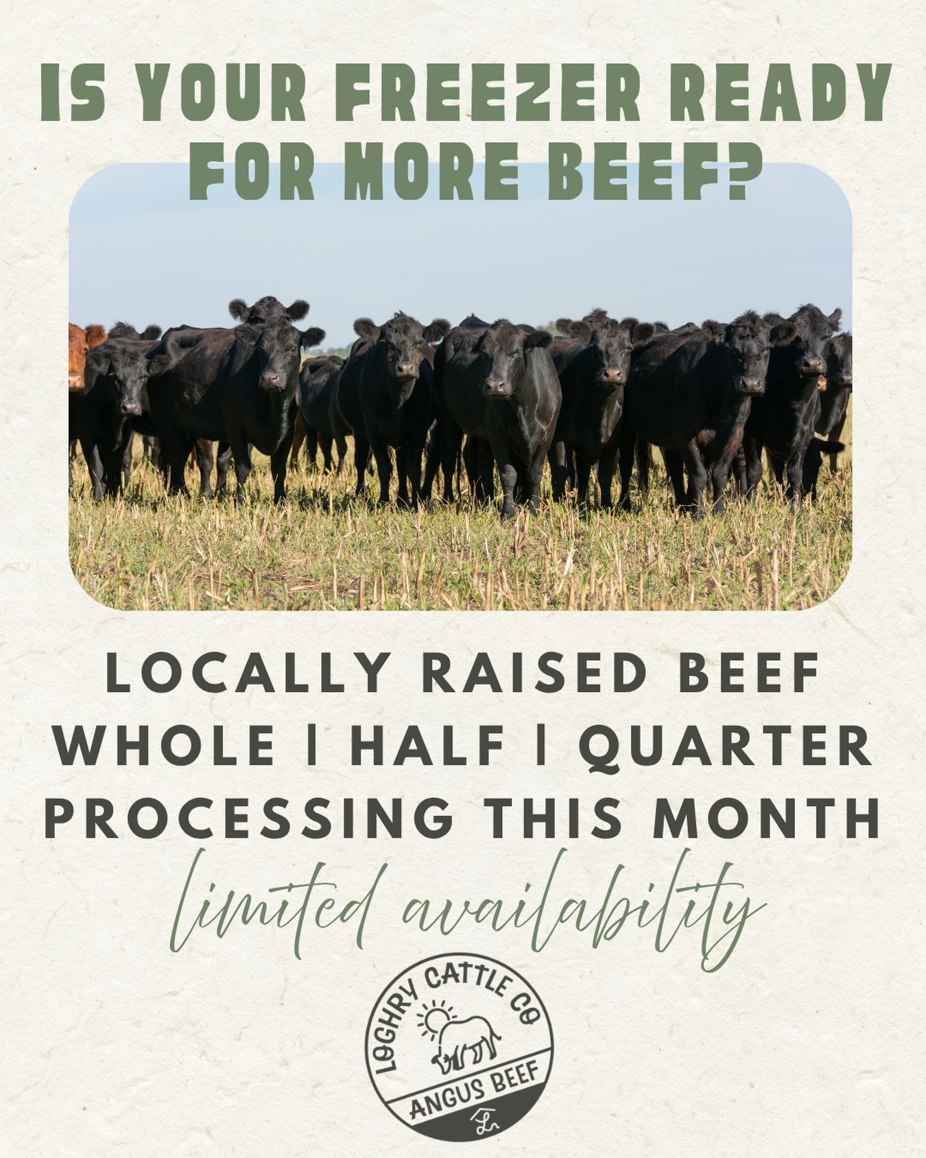 a few more spots for this fall, call or text Nick or Anissa
#angus #angusbeef #localbeef #shoplocal #shoplocalkc