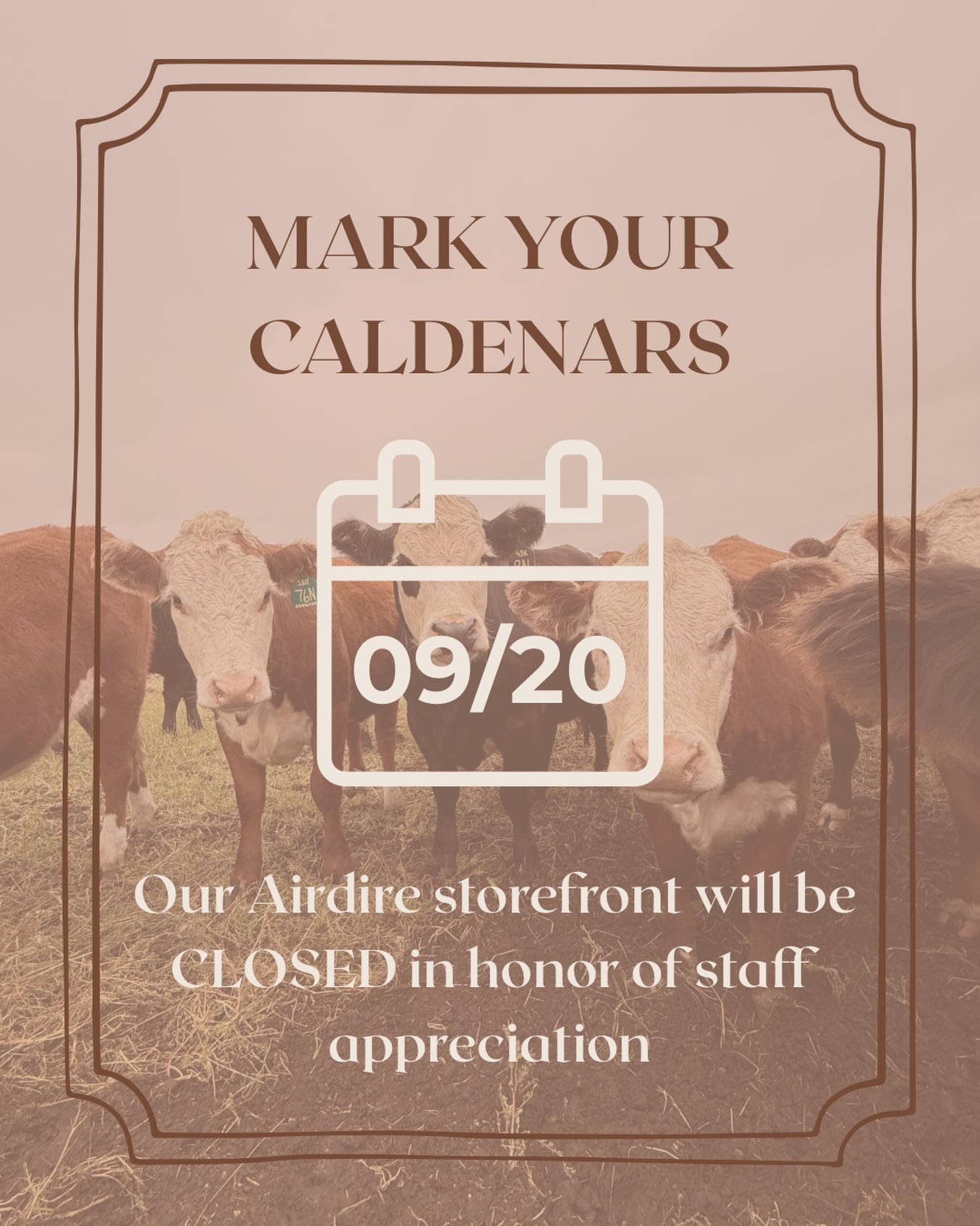 🗓️Mark your Calendars!!🗓️
Next Sunday, September 20th, we will be closing our Airdrie shop to celebrate our wonderful staff!
🥩Make sure to stop in this week🥩
Mon-Thurs: 10am-5pm
Fri: 10am-6pm
Sat: 10am-5pm
Don’t worry, we will reopen Monday, September 21st at 10am for all your beef, pork, and poultry needs!