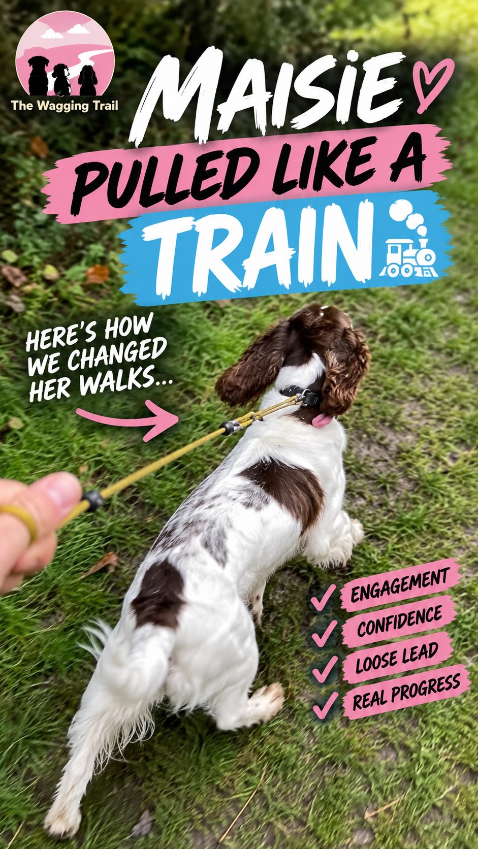 🐾 MAISIE PULLED LIKE A TRAIN 🚂
When we first started working with Maisie, walks looked very different.
She was constantly at the end of the lead, pulling ahead and far more interested in everything around her than the person holding the lead.
But I didn’t just want to teach Maisie “don’t pull.”
I wanted to change the reason she was pulling in the first place.
So before expecting beautiful loose-lead walking, we went back and worked on the foundations:
👀 Building engagement
🐾 Rewarding voluntary check-ins
🎾 Using play and things Maisie genuinely values
🌳 Working around real-world distractions
🤝 Teaching her that staying connected with her handler is worthwhile
And gradually, the lead started to change too.
The difference you see at the end isn’t just a dog who’s learned where she’s supposed to walk.
It’s a dog who’s more engaged, more connected and making better choices.
That’s why I always say loose-lead walking is about more than just the lead.
You can spend the whole walk correcting pulling…
Or you can work on building a dog that actually wants to work with you.
And Maisie has come a LONG way. ❤️🐶
Does your dog pull like a train too? 🚂
📩 Drop us a message if you’d like help with your dog’s loose-lead walking, engagement or recall.
📍 Chalfont St Peter & surrounding areas
🌐 The Wagging Trail
✉️ info@thewaggingtrail.co.uk
#chalfontstpeter #dogtrainer #spaniel #looseleadwalking #heelwalking