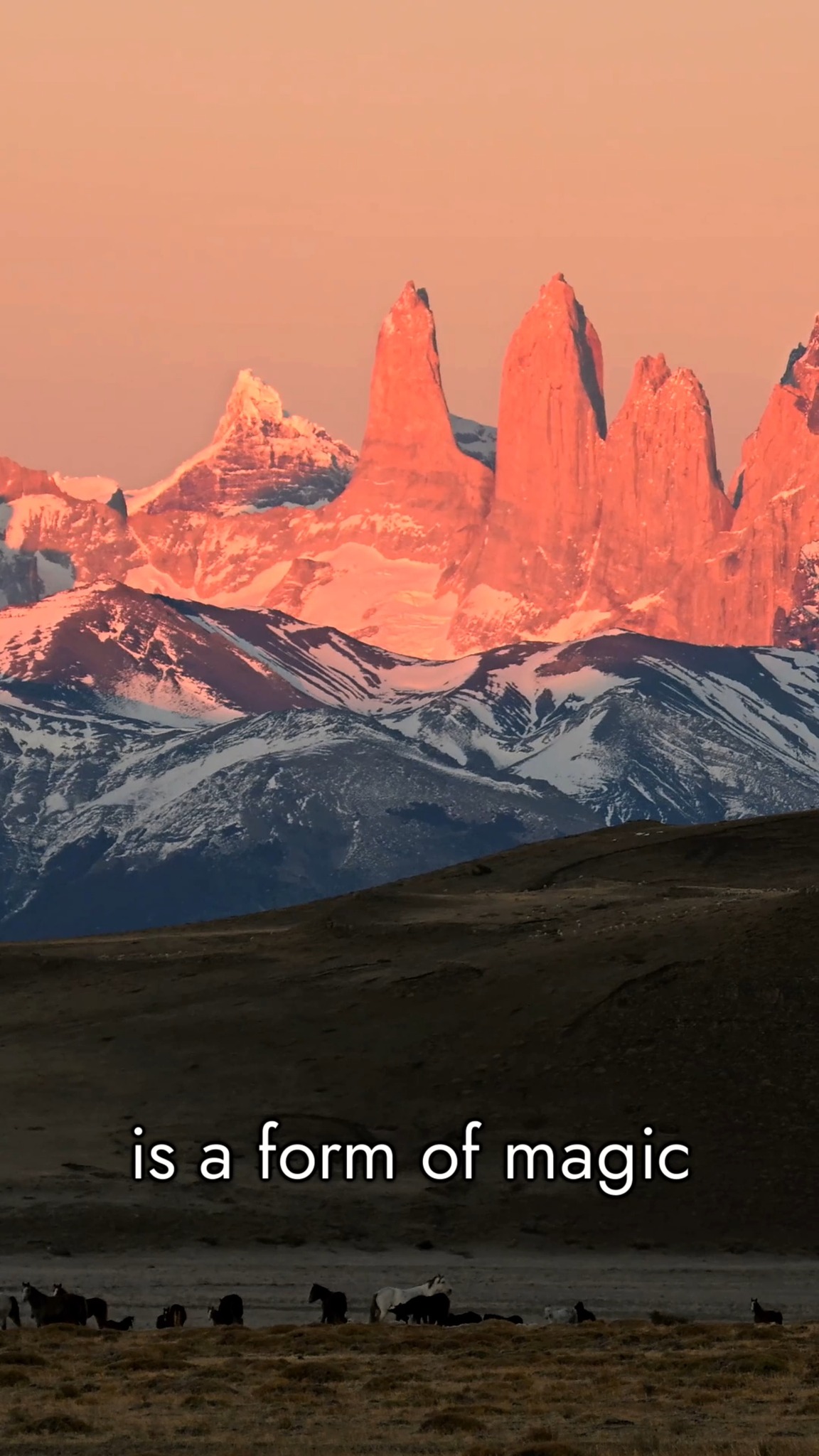 Cerro Guido, la ganadería forma parte de la identidad de este territorio desde hace más de un siglo. En Fiestas Patrias, esa historia rural — la del trabajo con el ganado y el vínculo con la tierra — se celebra con la misma fuerza que el paisaje que la rodea.
Conservar este territorio también es conservar su patrimonio: la historia de la Estancia Cerro Guido y de quienes la habitan.
¡Felices Fiestas Patrias desde la Patagonia! 🇨🇱
—
At Cerro Guido, ranching has been part of this territory's identity for over a century. On Chile's Independence Day, that rural history — the work with livestock, the bond with the land — is celebrated with the same strength as the landscape around it.
Conserving this territory also means conserving its heritage: the history of Estancia Cerro Guido and the people who call it home.
Happy Fiestas Patrias from Patagonia! 🇨🇱
#FundacionCerroGuido #FiestasPatrias #Patagonia #EstanciaCerroGuido