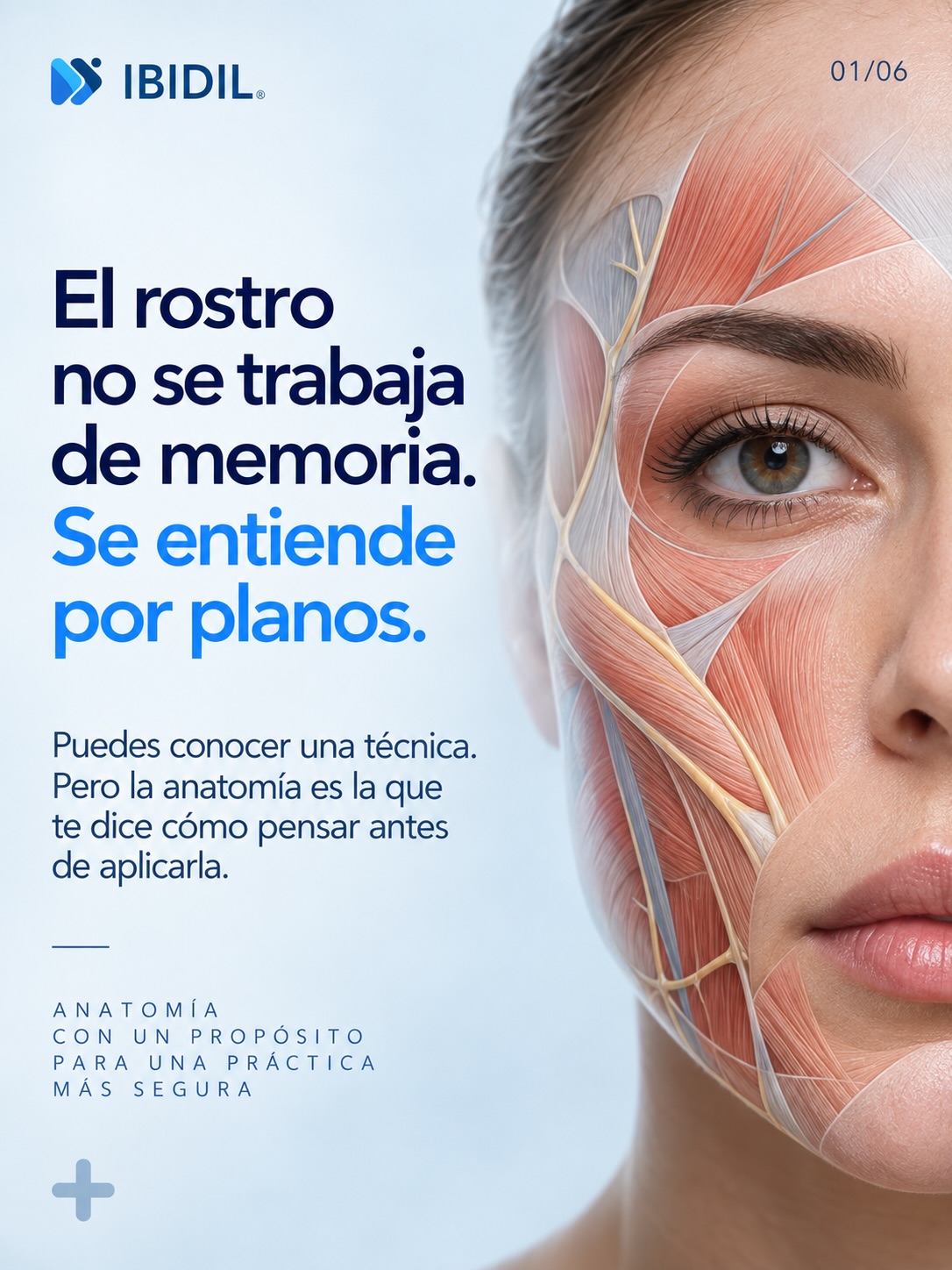 La anatomía facial no debería estudiarse solo para memorizar estructuras.
Debería ayudarte a entender mejor lo que estás viendo, cómo se relacionan los planos del rostro y por qué una misma técnica no puede aplicarse exactamente igual en todos los pacientes.
En el Curso de Perfeccionamiento y Avance en Anatomía Facial, junto al Dr. Reinaldo Palma, profundizarás en el análisis tridimensional y morfofuncional del rostro para fortalecer algo clave en la práctica clínica: el criterio para evaluar, planificar y tomar decisiones con mayor fundamento anatómico.
📍 Instituto Docente de Urología. Valencia
🗓️ Inicio: 27 de septiembre
📍 Instituto IBIDIL
Caracas
🗓️ Inicio: 30 de septiembre
⏳ 6 encuentros presenciales
⚠️ Cupos limitados
Comenta CURSO y te enviamos toda la información para inscribirte.