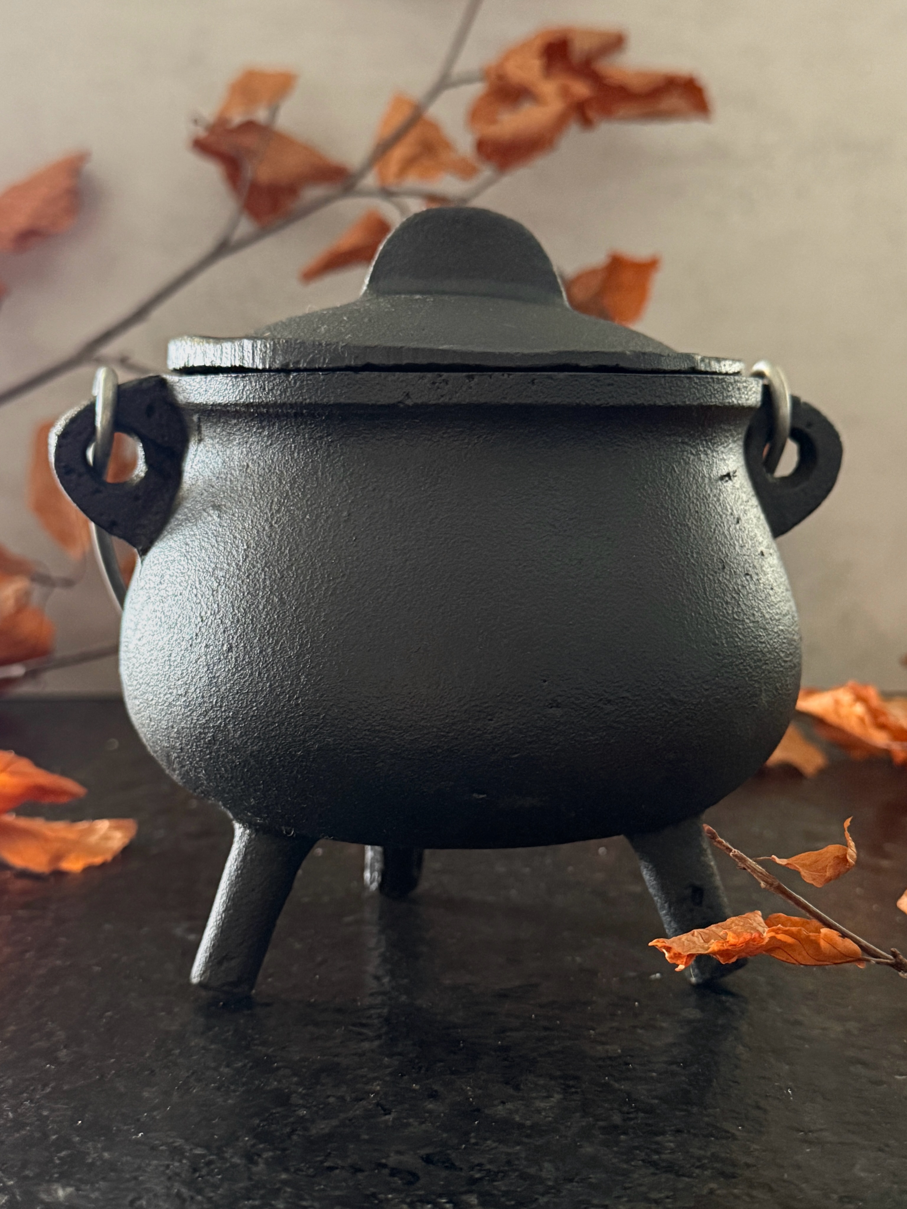 It’s the Season of the Witch ✨🔮🐈⬛
These cast iron cauldron candles are filled with 20 ounces of wax and weigh in at over 5 lbs. When the candle is down to its last 1/4,” simply dump the spent wax in the trash and wash with soapy water. Your cauldron is now ready for its second life. How witchy. 🪄