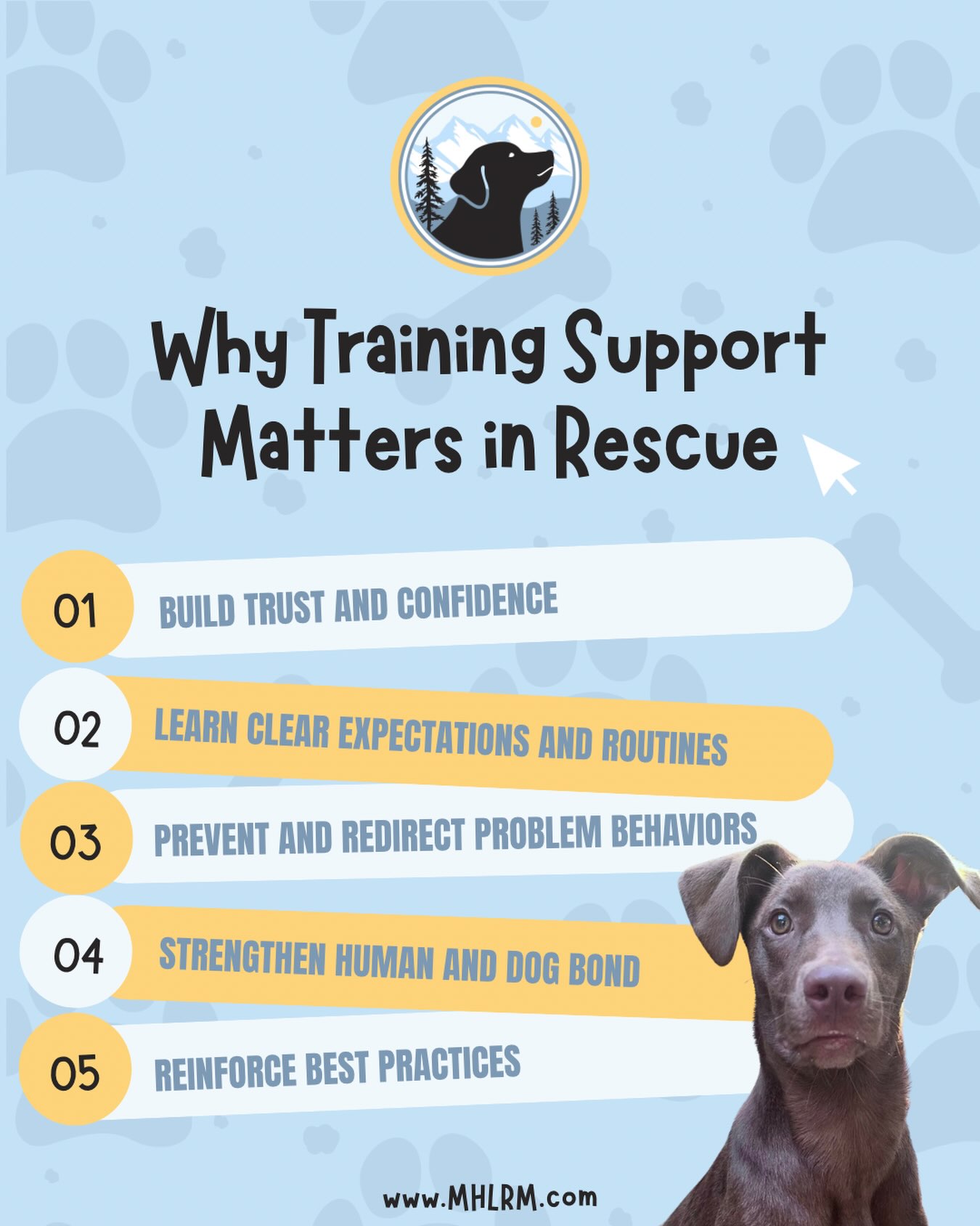 ➡️Let’s be real… training isn’t taboo, it’s necessary. ALL rescues need some form of training and that’s not a bad thing! There are so many benefits to providing support for your pup.🐾
You don’t need to be an expert and the benefits are so real. Let’s talk about it! Training matters because:
⭐️It builds trust and confidence
⭐️Your dog will learn clear expectations and routine
⭐️It prevents and redirects problem behaviors
⭐️Your bond will strengthen
⭐️Best practices are reinforced
10s all around! Never have we ever heard of someone regretting the training. So seek the support, challenge the myths, and build the best life for you and your rescue pup.🐶
*Special shout out to our amazing training partners! We couldn’t do this without you.
Anyone have a training success story they want to share? Drop it below.⤵️