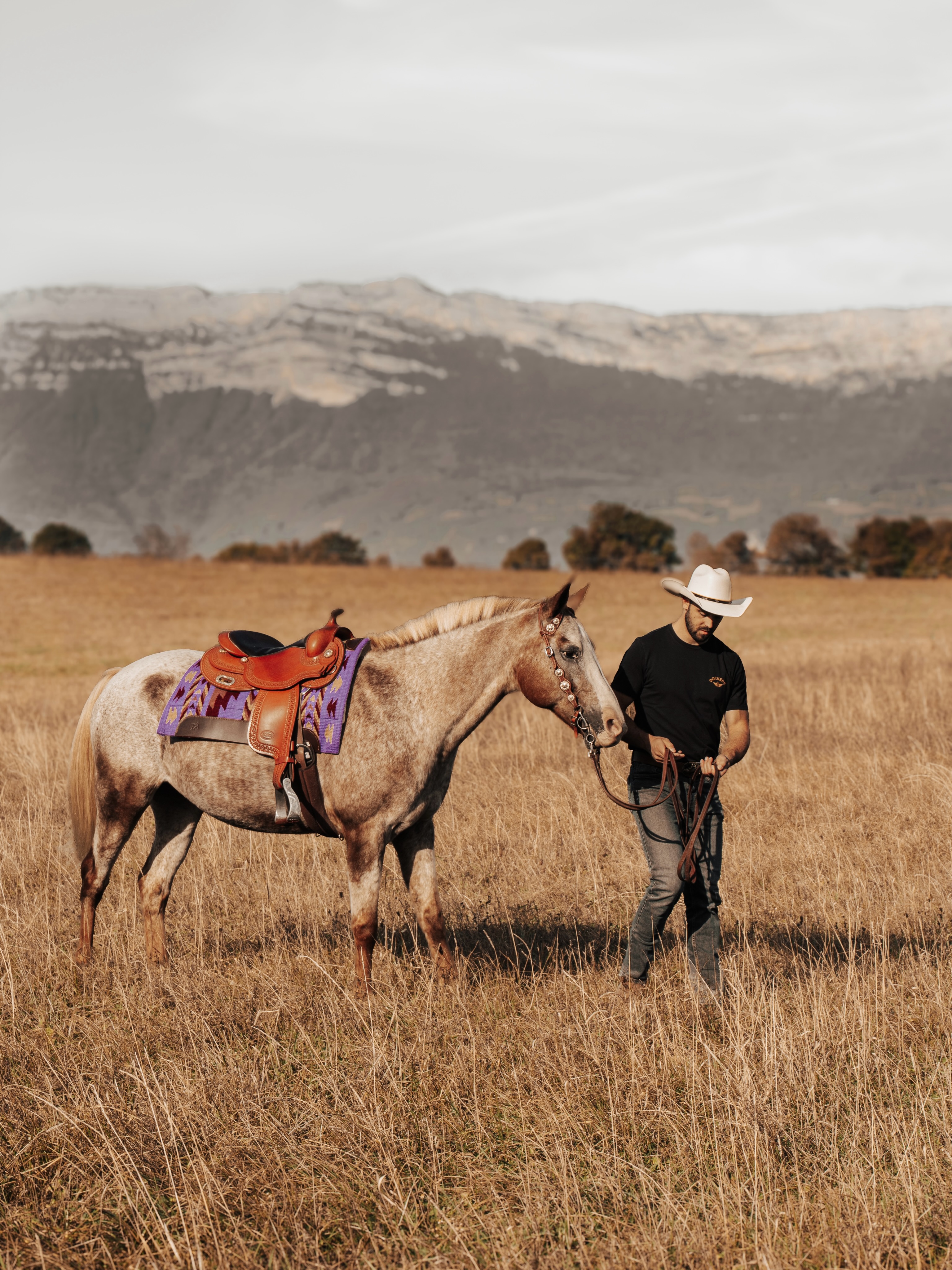 On apprend beaucoup quand on passe assez de temps avec les chevaux. À moins parler, à mieux les regarder et surtout à ne pas brusquer les choses.
Buck Brannaman a dit quelque chose qui reste : « Your horse is a mirror to your soul. »
Et parfois, avant de vouloir lui apprendre quelque chose, il faut accepter ce qu’il est en train de nous apprendre 🫶🏻
#Horsemanship #WesternRiding #RanchLife #EquestrianLife #HorseCommunity