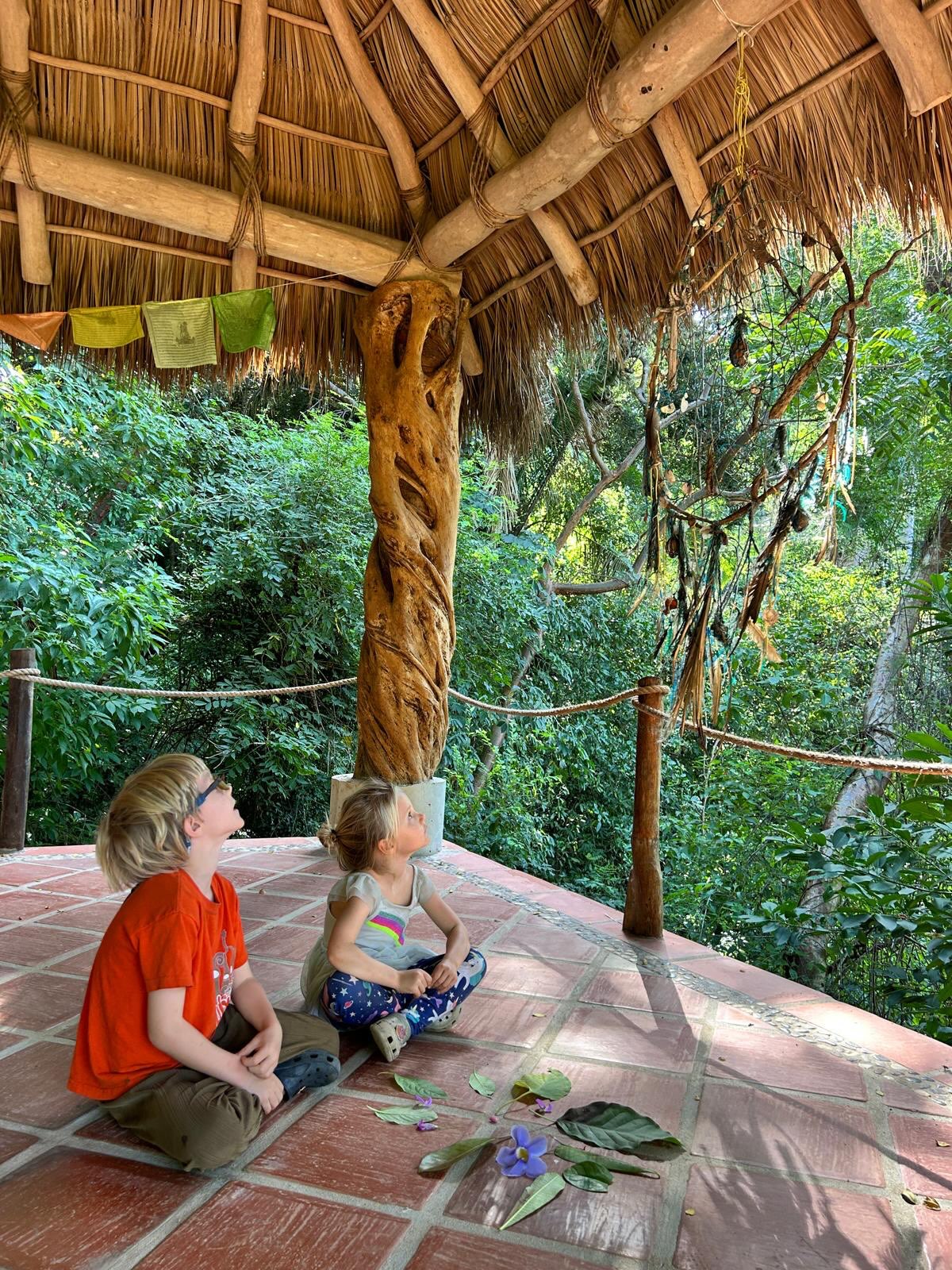 We have a secret for you... November is an epic month here in the jungle of San Pancho, Mexico!! 🇲🇽💚
The summer rains have worked their magic. The jungle is radiant green, the ocean is deliciously warm, the humidity drops, and clear blue skies bring tropical bliss. It’s also one of those sweet little windows of time that the locals really love. Restaurants are reopening, the farmers market returns, friends reconnect, and the whole community feels rested and recharged. And yet... it’s still muy tranquilo. Holiday travelers haven’t arrived. The surf breaks are less crowded. Life moves at a mañana pace.
There’s a feeling of gratitude in the air…for the rains, the jungle bursting back to life, this beautiful community, and the beginning of another season together 🙏
We reopen the Tailwind Jungle Lodge on October 27! If November’s gray skies in the north have you daydreaming about jungle greens and warm Pacific water, our family would love to welcome you. Nos vemos pronto! 💚
#EcoLodgeMexico #SanPancho #SanPanchoNayarit #JungleAdventure #familyadventure