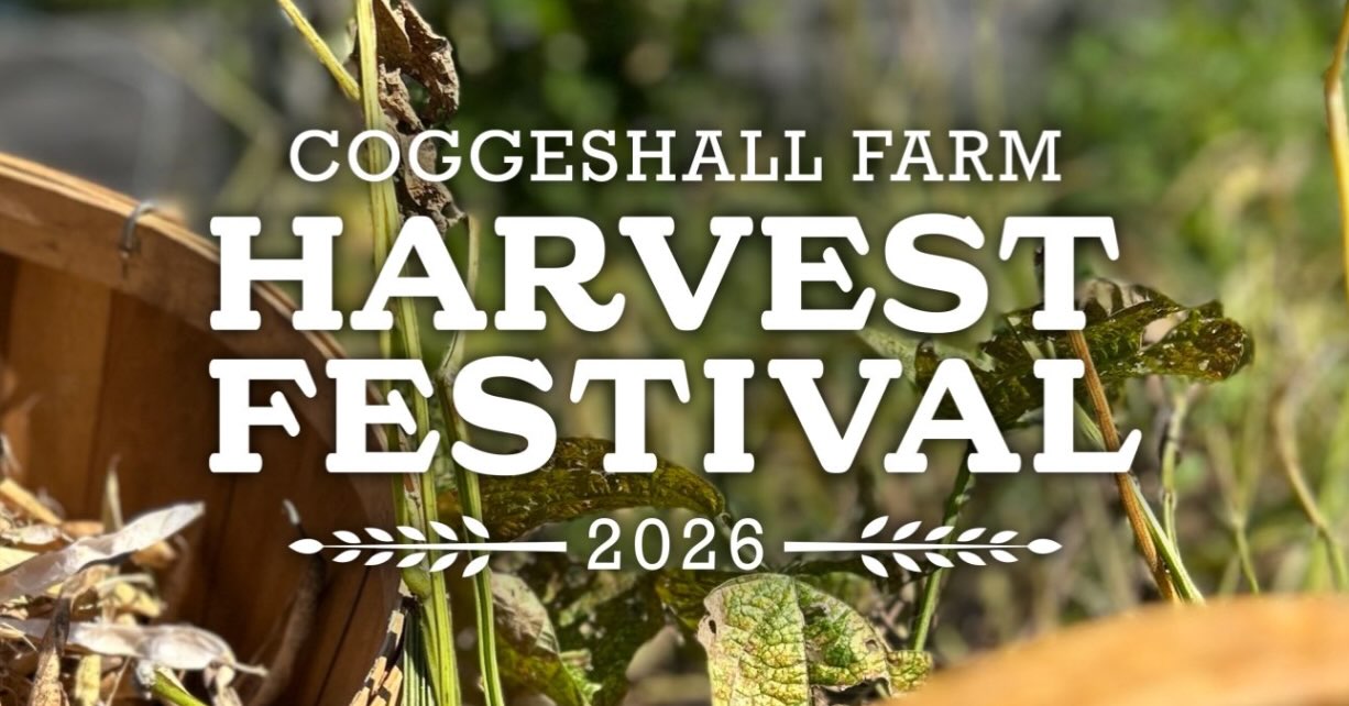 Harvest Festival 🌾
Saturday, September 19th
10:00am - 4:00pm
@coggeshall_farm_museum
“Join Coggeshall Farm Museum as we celebrate the culmination of our farming season. Enjoy this day-long event at our 18th-century coastal tenant farm and experience the rich heritage of the land and sea. Visitors will experience historic farming demonstrations, including cider making, oxen plowing matches, horse-drawn carriage rides, and children’s games and activities. Experience locally made artisan crafts from Rhode Island and New England vendors. The event will also feature regional food and beverages along with food trucks and local musicians.”
$15 for adults, $5 for youth ages 4-17