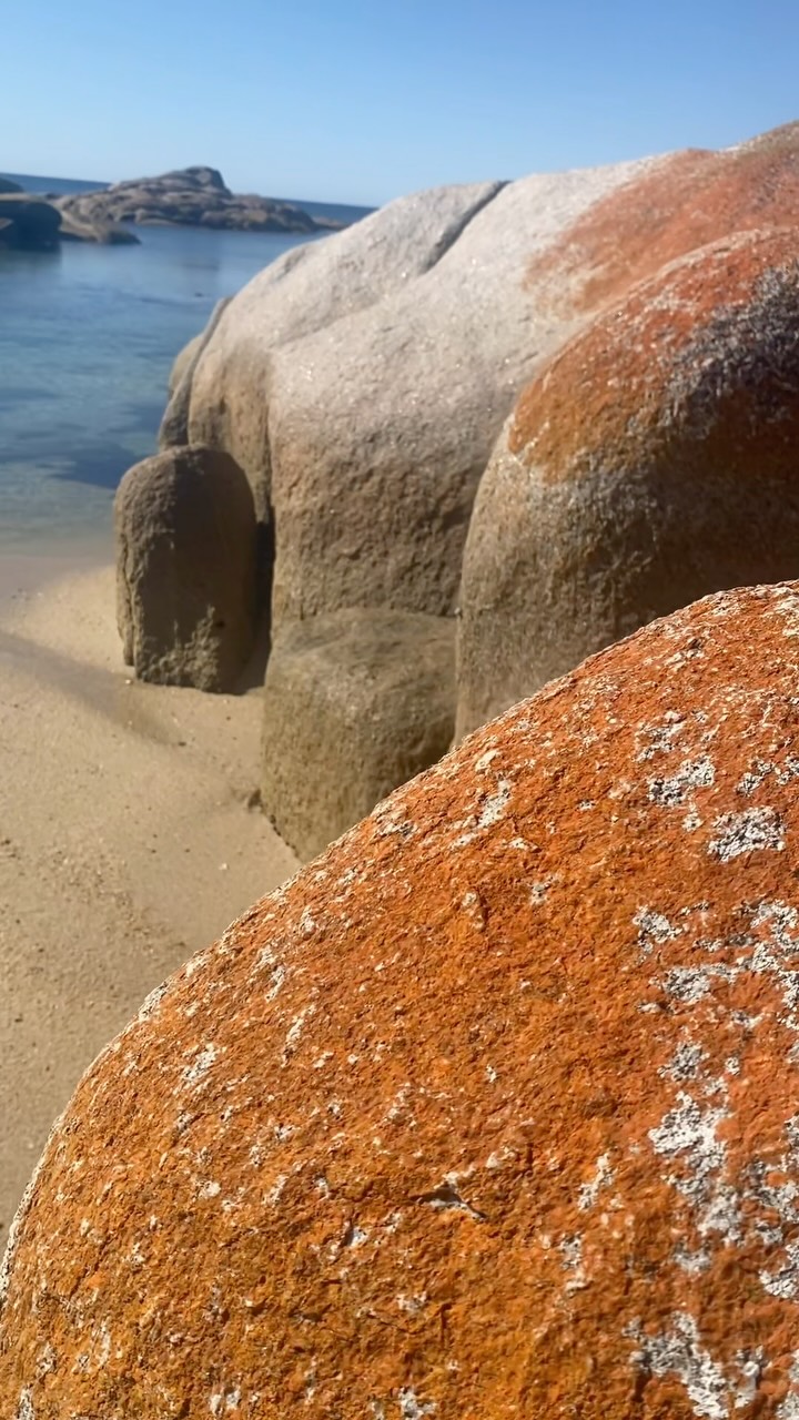 🌸✨🐳A little glimpse of my site visit to Binalong Bay this week.
I spent the day exploring the venue, the beach and the surrounding area, of the iconic Bay of Fires.
It was really great to see it all in person and start imagining how the retreat will come together- finally, after 3 site visits and experiencing amazing hosts and venues and of course my island home of Tasmania 🙌
I’m feeling very happy with where this is heading and super excited to land on a decision about pricing, venue and inclusions.
23–26 March 2027 | Retreat| 10 women | 3 nights
Early Bird opens 22 September to my mailing list and the women who have already been in touch.
More soon my loves 🌱🙏💃
Weeee heeeee !
N xx
#nicolewoodwellness #yogaforwomen #retreattasmania #womensyogaretreat2027