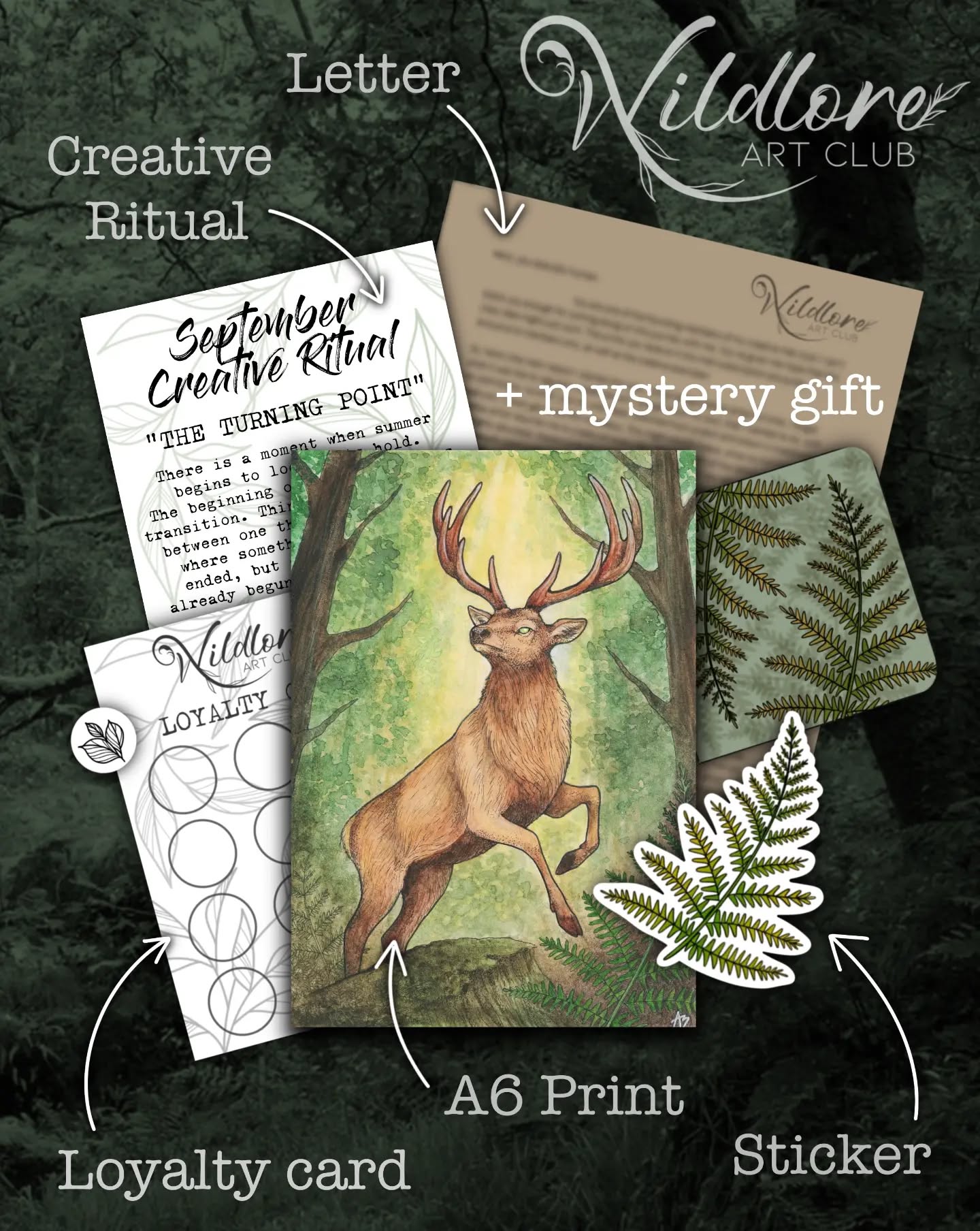 πΏπ Wildlore September Edition ~ "Swordfern Stag" π¦
Here's what members recieved this month! Wildlore is a monthly art subscription delivered to your door inspired by myth, flora and fauna. Each month youβll receive an exclusive A6 art print, themed sticker, creative exercise for art or journalling, a letter and a loyalty card for discounts on my online shop! Each month will also include a different mystery gift too, this month was a fridge magnet! Check out my website for more info π₯°
.
.
.
#art #wild #nature #snailmail #creative