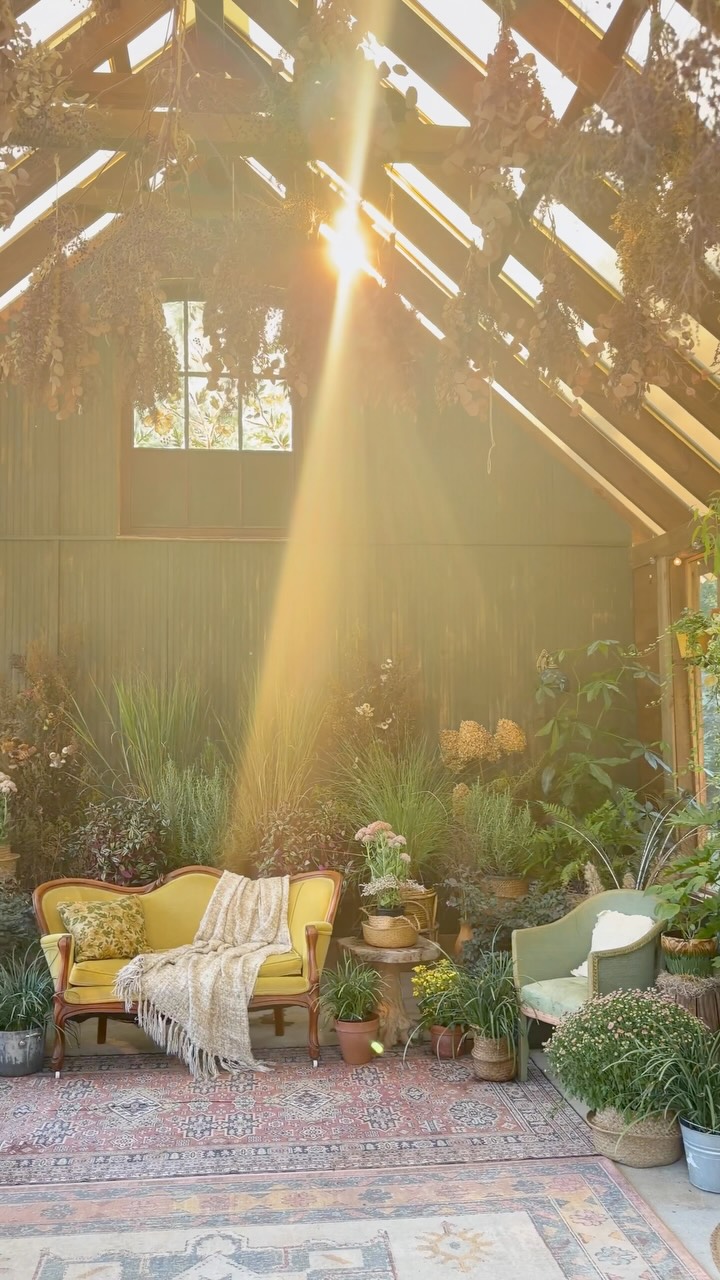 Good morning friends! Today I am working on finishing a few of my paintings on old found wood, and the September issue of Botanica Vignette mini magazine! I will be sending that out later this week so if you have not yet joined the list to receive it be sure to click on the link in bio! Or comment “dream” if that’s easier and I’ll send it to your DMs. 🤗✨
You’ll get the first issue immediately and the September issue when it gets sent.
Im so grateful for all of you that have raised your hand to receive it, it means a lot to me!
I really want to encourage others to live at the intersection of fearless, wild, creative…and this is the first step in sharing that message.
Thank you for being here 💚
Where are you watching from?
xoxo @meghanaileen
Artist & Creator of NunaVeda Greenhouse
Franklin TN
Plants, greenhouse design, fall nature decor, art, nature, creative living
