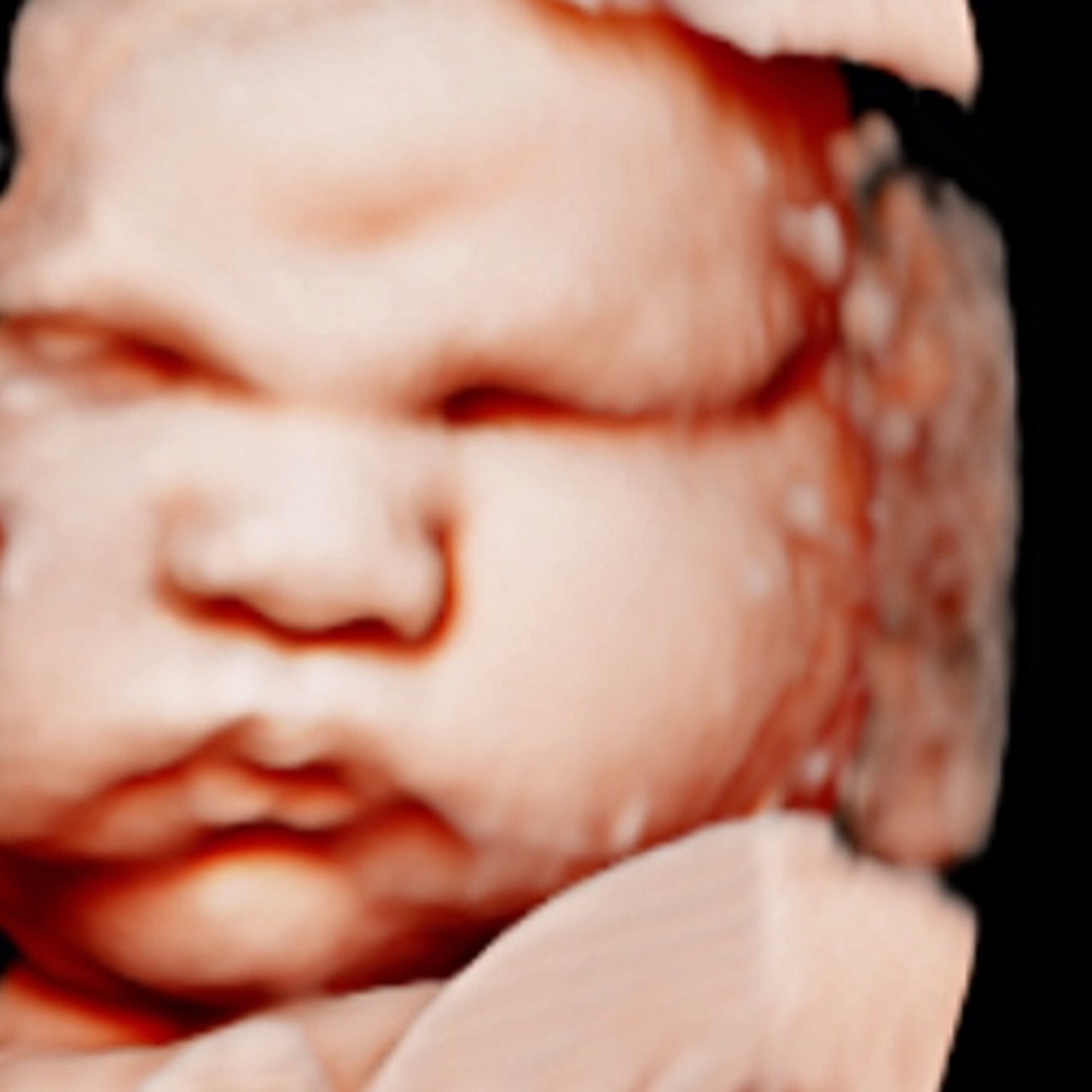CONGRATS your baby already has a 750 credit score and a full time job 😭😂 Look at those cheeks!