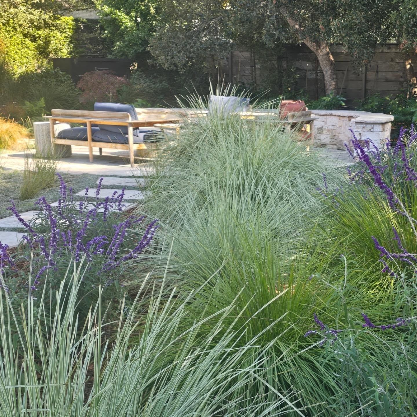 Wrapping up this #landscape project in #Carmel
#CarmelPointLandscapes