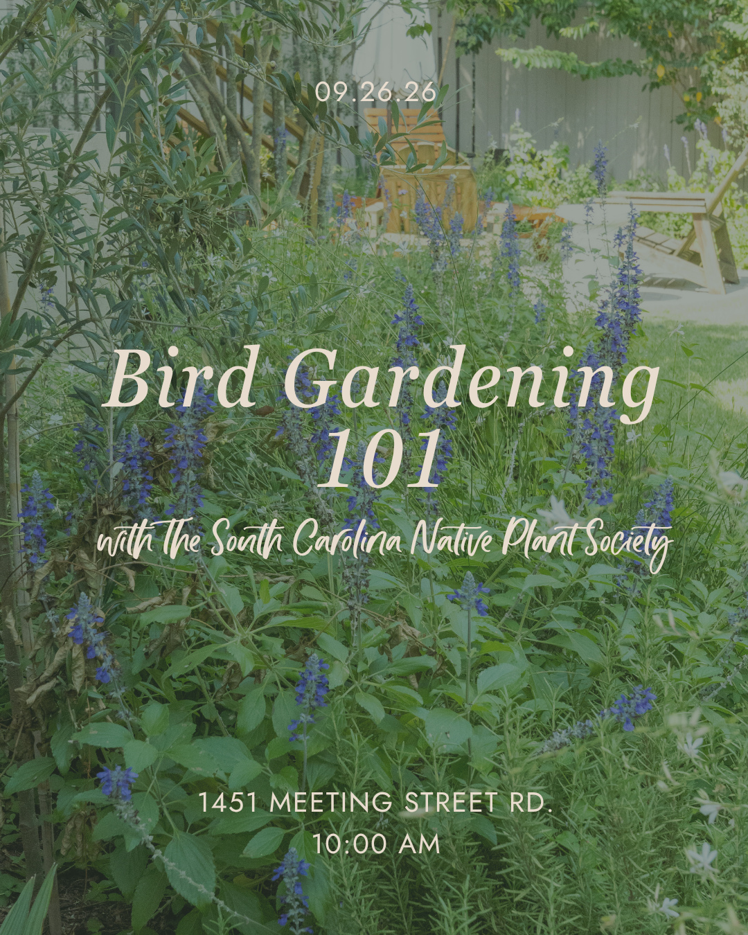 Become a bird nerd at Meeting Green! 🐦⬛ 🌿 Come hang out with us and learn all about attracting birds to your garden this fall with Paula from the South Carolina Native Plant Society. Gardening for Birds 101 is for everyone - enjoy a morning of good conversation with your plant community!
When? Saturday, September 26 at 10am
Where? At Meeting Green on the back patio
🎟️ Grab a ticket online at the link in our bio!!