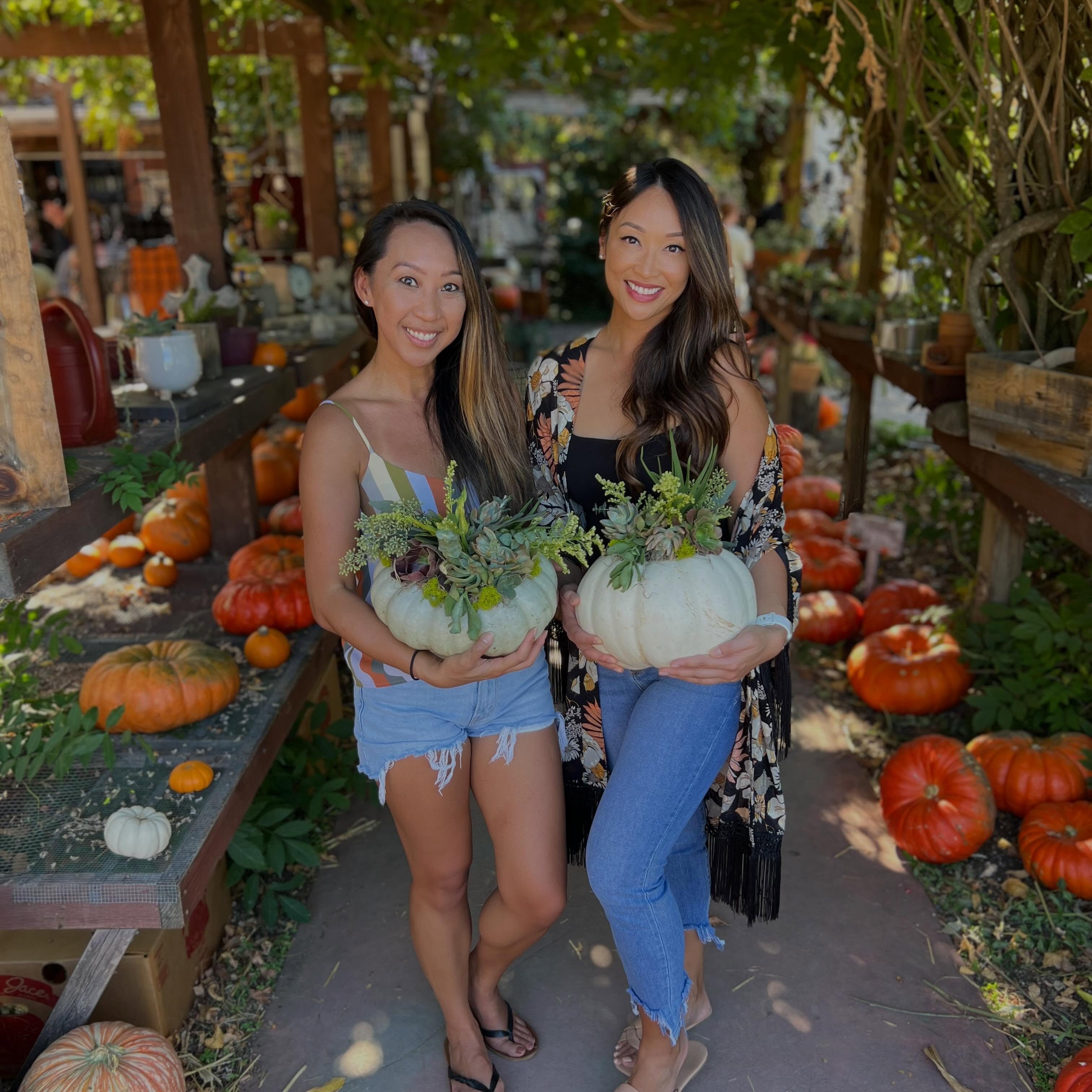 It’s that time of year again….its feeling like fall! 🍁We can all use some creative time to connect. A succulent pumpkin workshop makes for a great fall gathering, spending time together and walking away with your own stunning pumpkin arrangement designed with real succulents!
We have limited workshops available and tickets are selling fast, grab yours before they are gone.
www.GatherStudioandEvents.com
9/26 3pm The Flower Farm
SOLD OUT
9/27 3pm Fowler Ranch Lincoln @fowlerranchca
10/3 10:30am The Flower Farm
@theflowerfarmgiftshop
10/4 3pm Willamette Winery
@willamettewineworks
Private events also available.