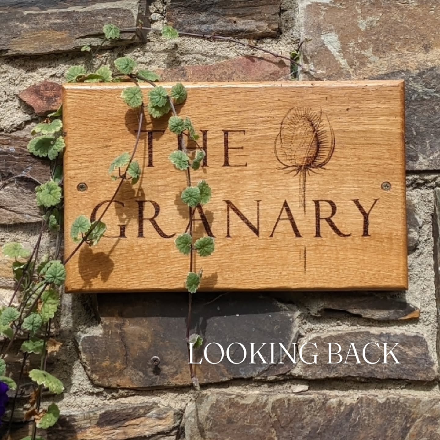 Looking Back
🌱 To a sign project I created a few years ago. I think it matches its background perfectly in keeping with the organic vibe.
🌱 Sorry, signs aren't something I make anymore but felt this one deserved a place on the grid.