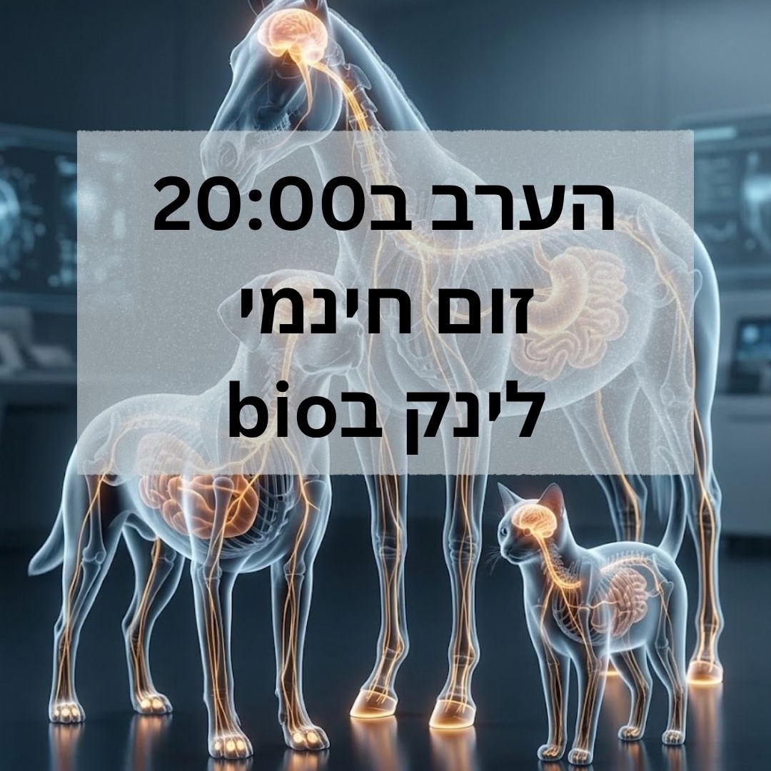 🍃 כפות הרגליים הן הרבה יותר מ"מה שעומדים עליו"
🔹 מערכת השרירים - הטחול (ברפואה הסינית) אחראי על טונוס השרירים שמחזיק את הגוף
🔹 Proprioception - קולטנים בכפות הרגליים מדווחים למוח איפה הגוף נמצא במרחב, בכל רגע
🔹 סטרס וזרימת דם - סטרס כרוני מסיט דם מהאיברים הפנימיים, ופוגע בזרימה לרגליים - מה שיכול להתבטא בנימולים
🔹 תנועה מול תחושה - לפעמים הרגל לא זזה אבל הכאב כן מורגש - שתי מערכות נפרדות שיכולות להתנתק
הכל מחובר ✨
📅 הערב ב20:00
🔗 לינק בביו להצטרפות
#רפואה_משלימה #רפואה_סינית #בעלי_חיים #מערכת_עצבים #בריאות_כלבים #בריאות_סוסים