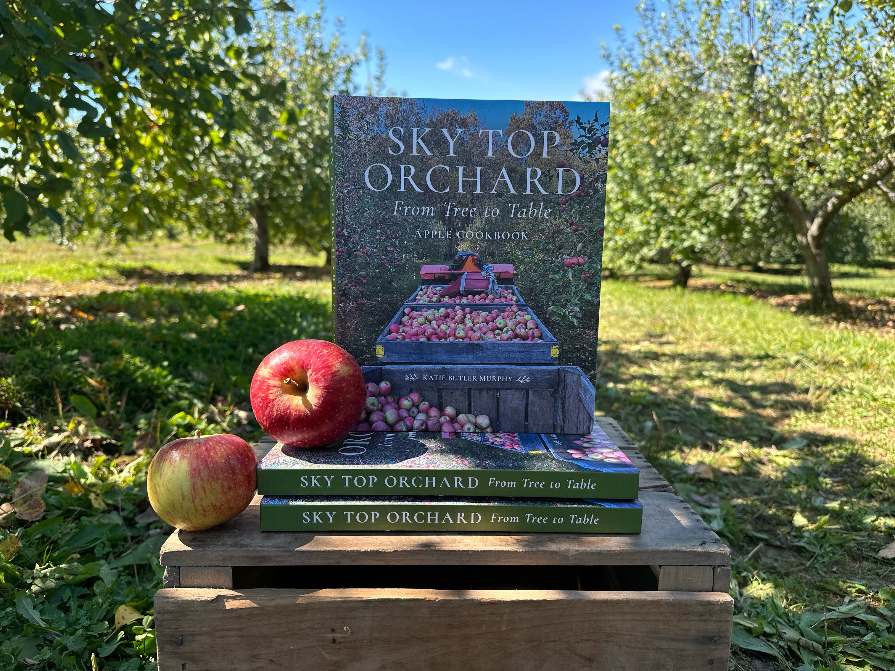 Calling all apple baking enthusiasts! 🍏🧁 Have you picked up your copy of Sky Top’s very own Apple Cookbook: “From Tree to Table”? Now is the season to be in the kitchen and we’re excited to come alongside you to share our family recipes, tips and tricks, and recommendations in getting the most out of your apples!
From warm apple pies to savory dishes and sweet sips, this cookbook celebrates what we know best: apples. 🍏💛
Inside, you’ll also find a special guide to apple varieties and tips on how to use each one perfectly in your kitchen.
📖 Available exclusively at Sky Top Orchard — come pick up your copy and take a taste of Sky Top home with you. Great for gifts, too!
#appleorchard #applerecipes #apples #cookingwithapples