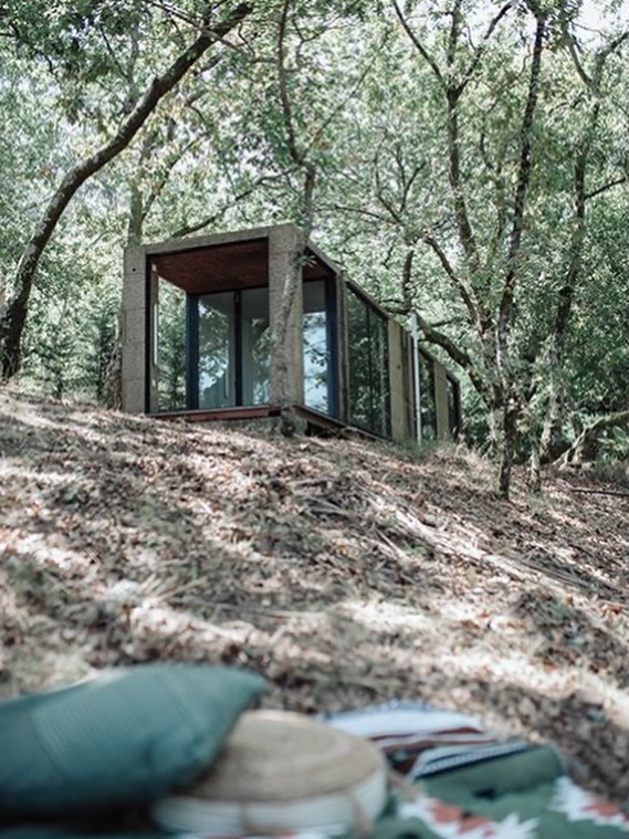 O nosso pedaço de magia na Quinta: o “Carvalhal” um local de culto onde levamos os nossos visitantes para que se sintam em casa, rodeados de natureza.🌲
__
EN
Our little piece of magic at the Estate: “Carvalhal” a sacred place where we take our visitors so they can feel right at home, surrounded by nature. 🌲
#QuintaDosEncados #Enoturismo #TurismoRural #RegiaoDemarcadaDosVinhosVerdes #Natureza