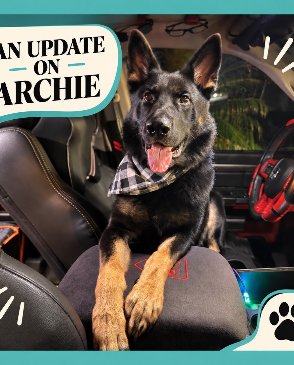🐾 An Update on Archie 🐾
Our sweet Archie is officially two years old—which means he’s now a teenager! He is doing so much better, and we’re incredibly proud of the progress he has made.
We’re still working through his aggression toward other dogs. Archie has completed lots of training—including plenty of training with us—and we remain committed to helping him grow. If you’ve successfully worked through dog reactivity or aggression, we would love to hear your suggestions!
The good news is that Archie is doing so much better when visitors come to our home. He’s learning, growing, and becoming more comfortable every day.
A few of Archie’s favorite things:
🐾 Dried mangoes
🐾 Car rides
🐾 Spending time with his pack
🐾 Playing with his many, many toys!
Do you have a teenage pup—or helpful experience with dog reactivity? Share your best tips or tell us about your furry family member in the comments!
#AnUpdateOnArchie #ArchiesAdventures #DogMomLife #GermanShepherdLife #ReactiveDogJourney DogTrainingJourney ProgressNotPerfection LifeWithDogs FurryFamily DogLovers