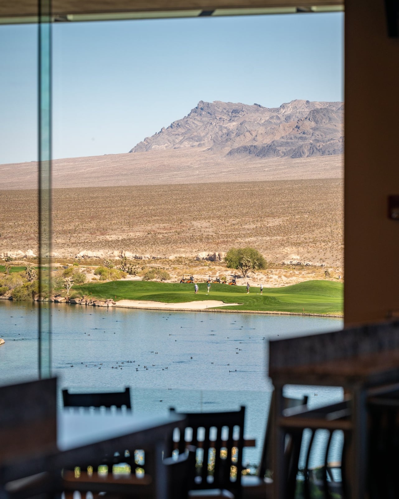 🪟 Best seat in the house. 🤩
Water, pristine fairways, and that mountain backdrop ⛰️— all from the clubhouse. Grab a bite, watch a group play through, then get back out there. ⛳🍽️
#Golf #DesertGolf #LasVegasGolf #LVPaiuteGolf