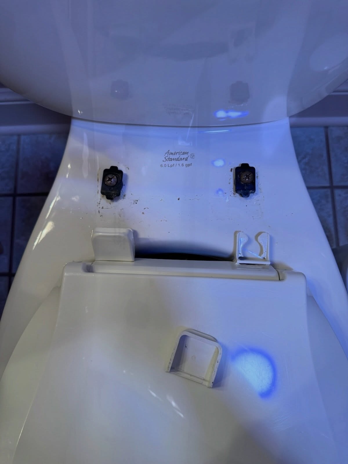 Cleaning all the germs 🦠
Love these type of toilet seats- they are so easy to just snap off and clean :)
Are you reading your cleaning products and checking your dwell time? Ours is 5 minutes, but every product is alittle different. If you aren’t letting it sit for the appropriate amount of time it’s not killing all the germs.
Great job Cait!!! 👏🏼👏🏼