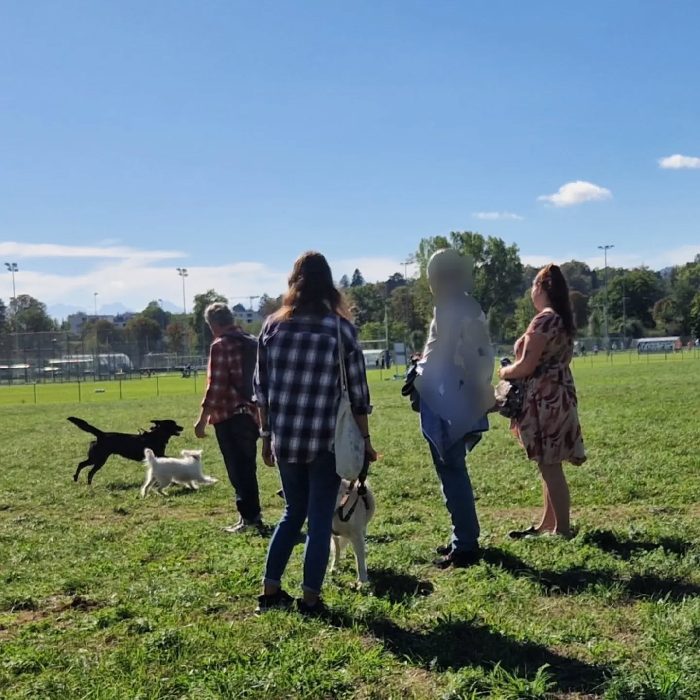 Nach dem Gruppentraining gingen wir auf den gemeinsamen Spaziergang 🐕
Die Hunde konnten baden und sich austoben 😃 Das hat viel Spass gemacht, schön dass ihr da wart.
#menschhundteam #hundespaziergang #assistenzhund #gemeinnützig #hundetraining