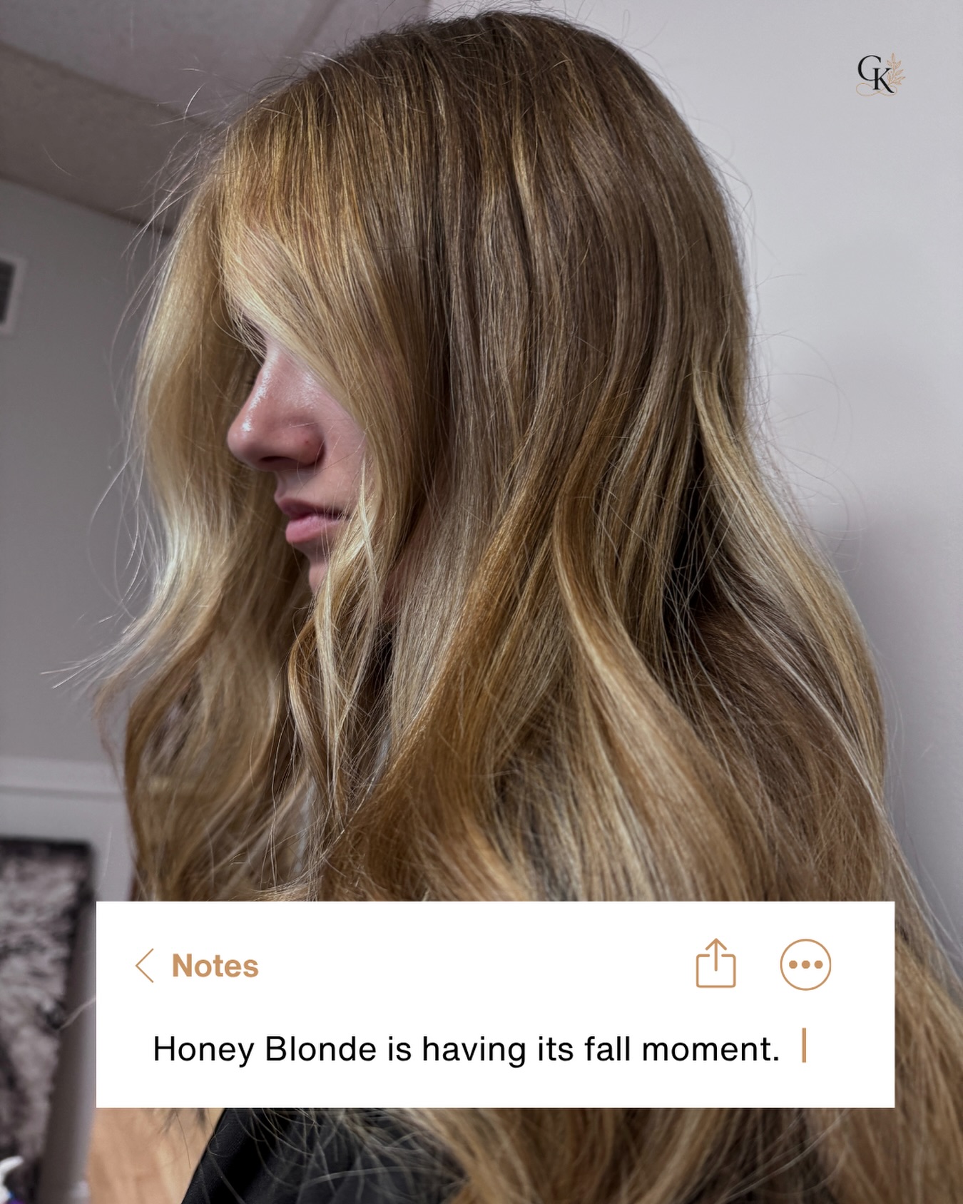 Honey blonde is having its fall moment, and we’re here for it. Warm, dimensional, and the perfect way to soften your blonde for the season.🍂
Ready for your fall refresh? Book your appointment at Grace Kelly Salon. | gracekellysalon.com
#HoneyBlonde #FallHair #BlondeInspo #GraceKellySalon #EastBerlinPA